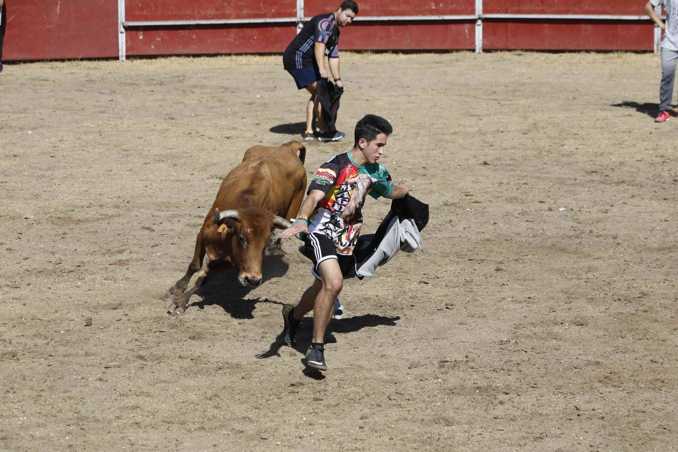 La capea fue entretenida gracias al ganado y a un grupo de cortadores, que no cesaron en su intento hasta lograr unos buenos cortes