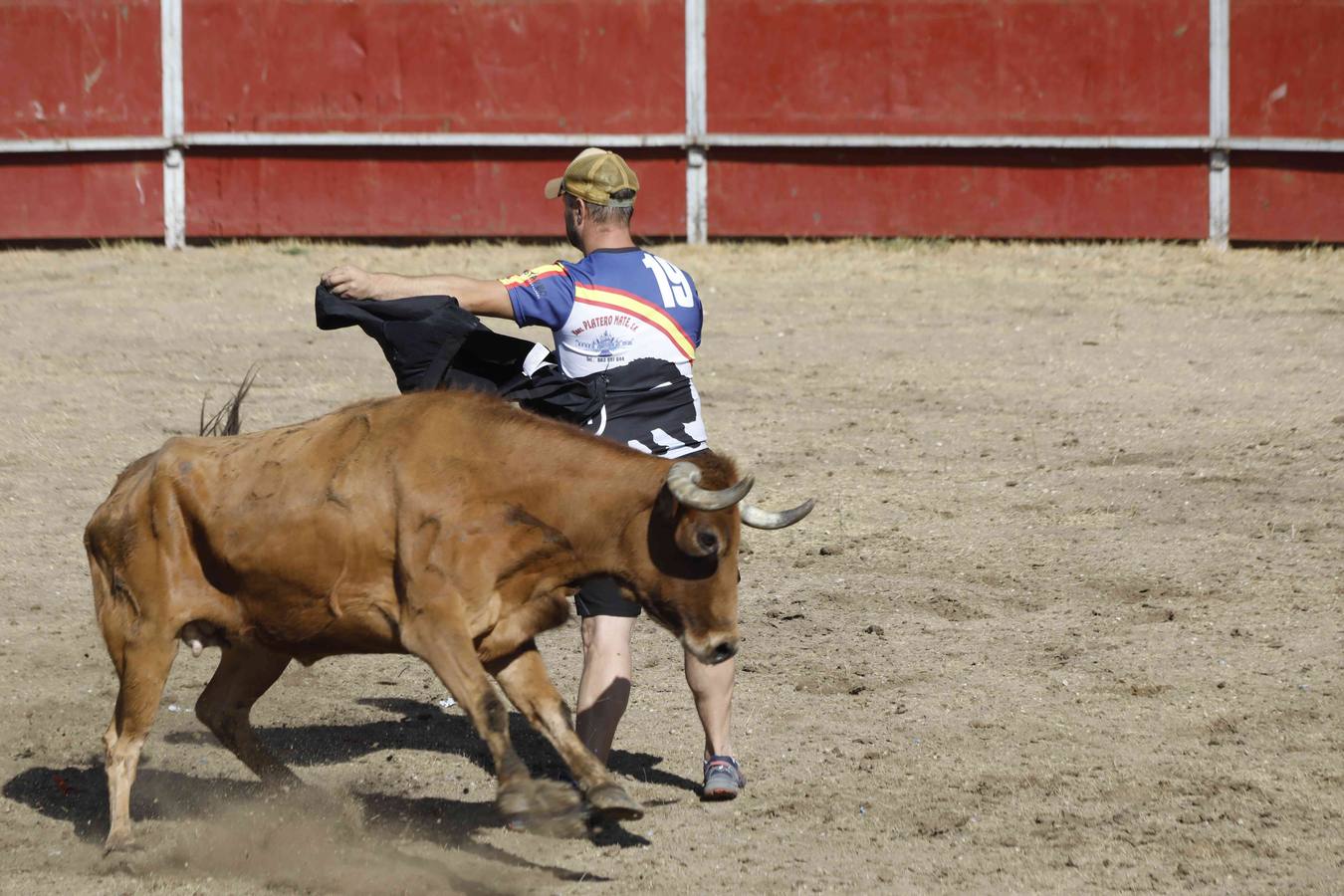 La capea fue entretenida gracias al ganado y a un grupo de cortadores, que no cesaron en su intento hasta lograr unos buenos cortes