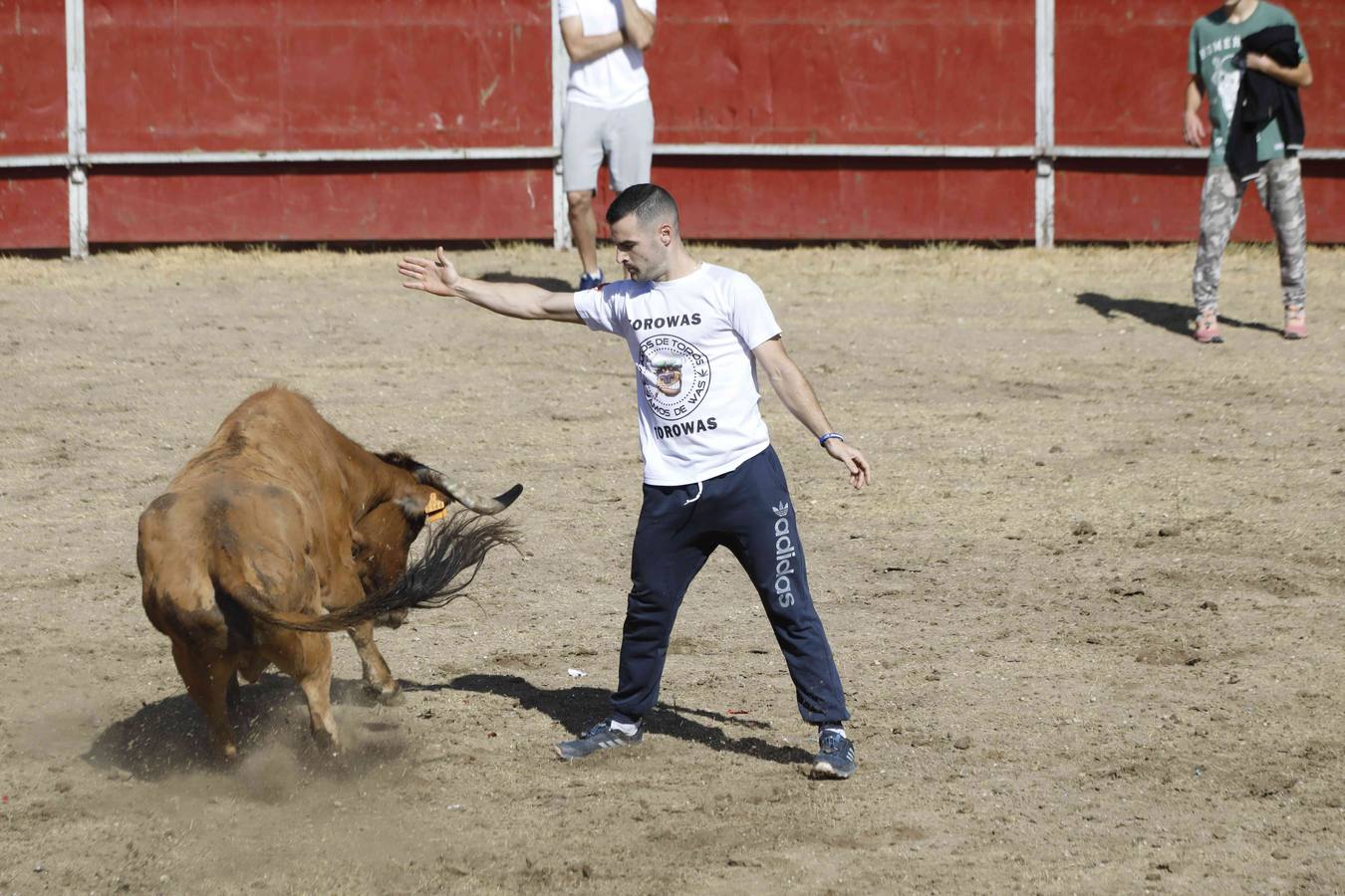 La capea fue entretenida gracias al ganado y a un grupo de cortadores, que no cesaron en su intento hasta lograr unos buenos cortes