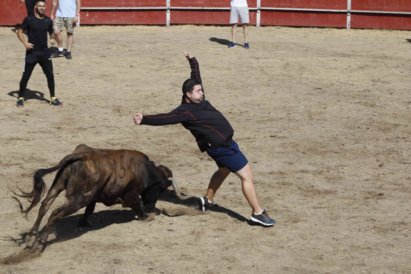 La capea fue entretenida gracias al ganado y a un grupo de cortadores, que no cesaron en su intento hasta lograr unos buenos cortes