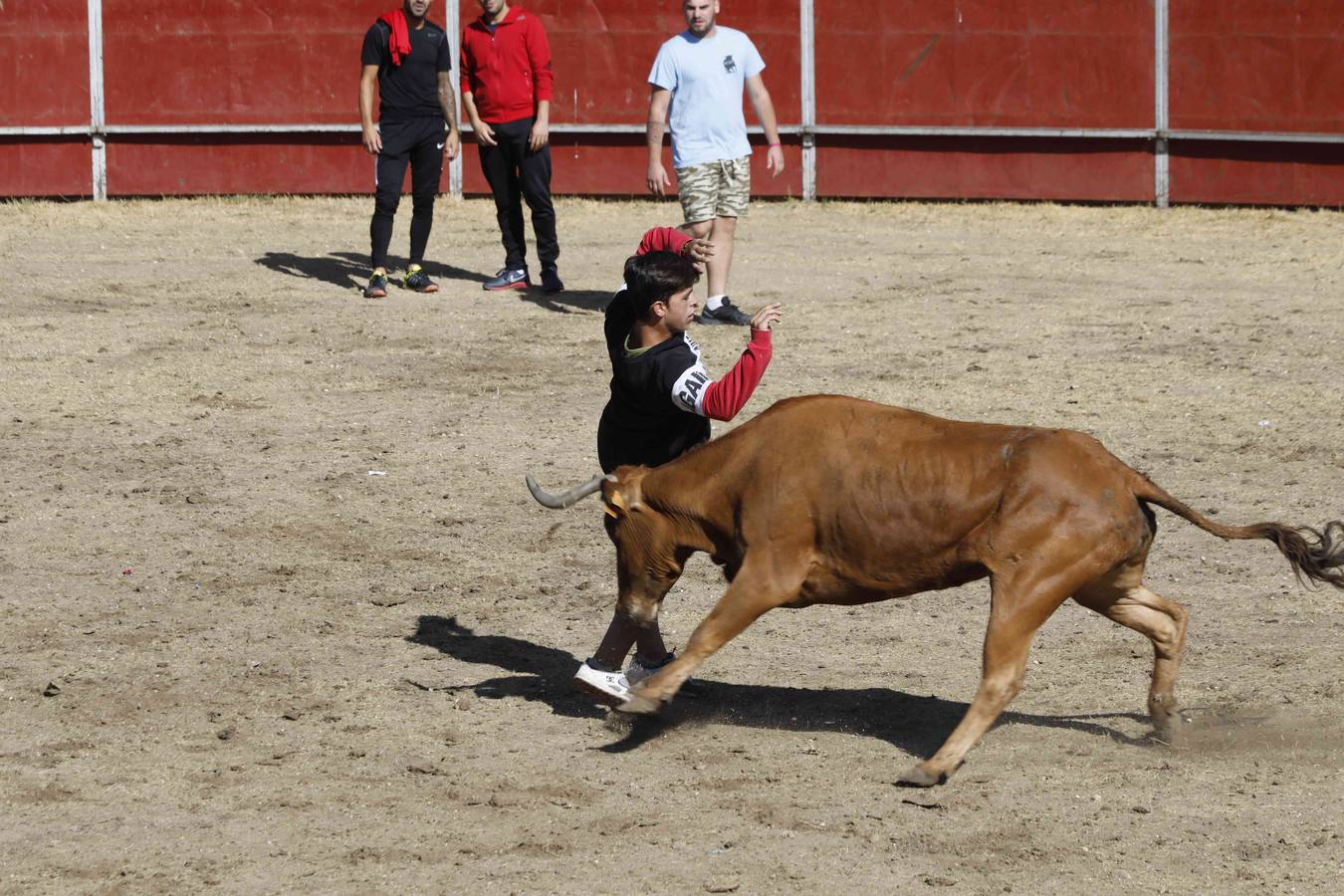 La capea fue entretenida gracias al ganado y a un grupo de cortadores, que no cesaron en su intento hasta lograr unos buenos cortes