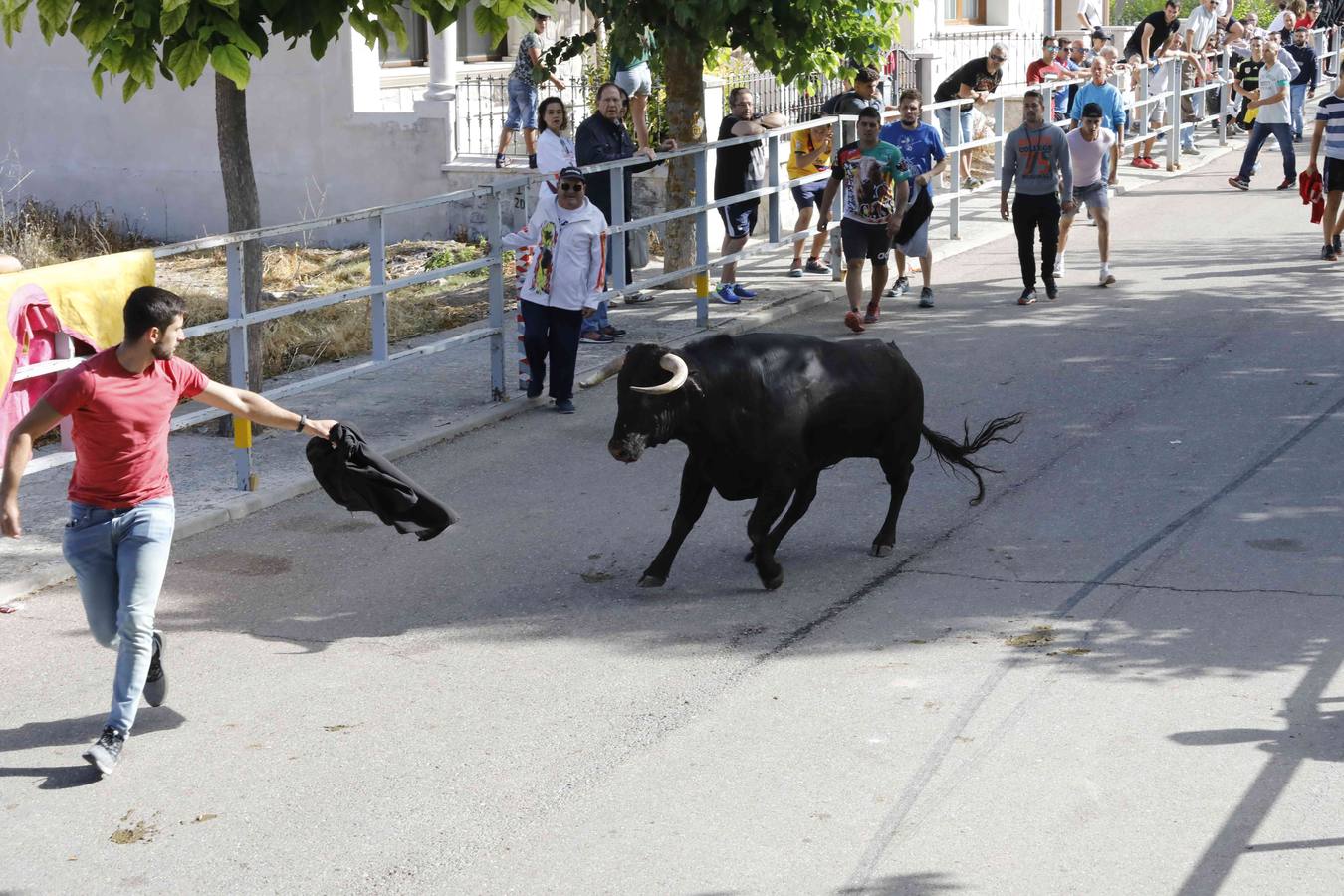 La capea fue entretenida gracias al ganado y a un grupo de cortadores, que no cesaron en su intento hasta lograr unos buenos cortes