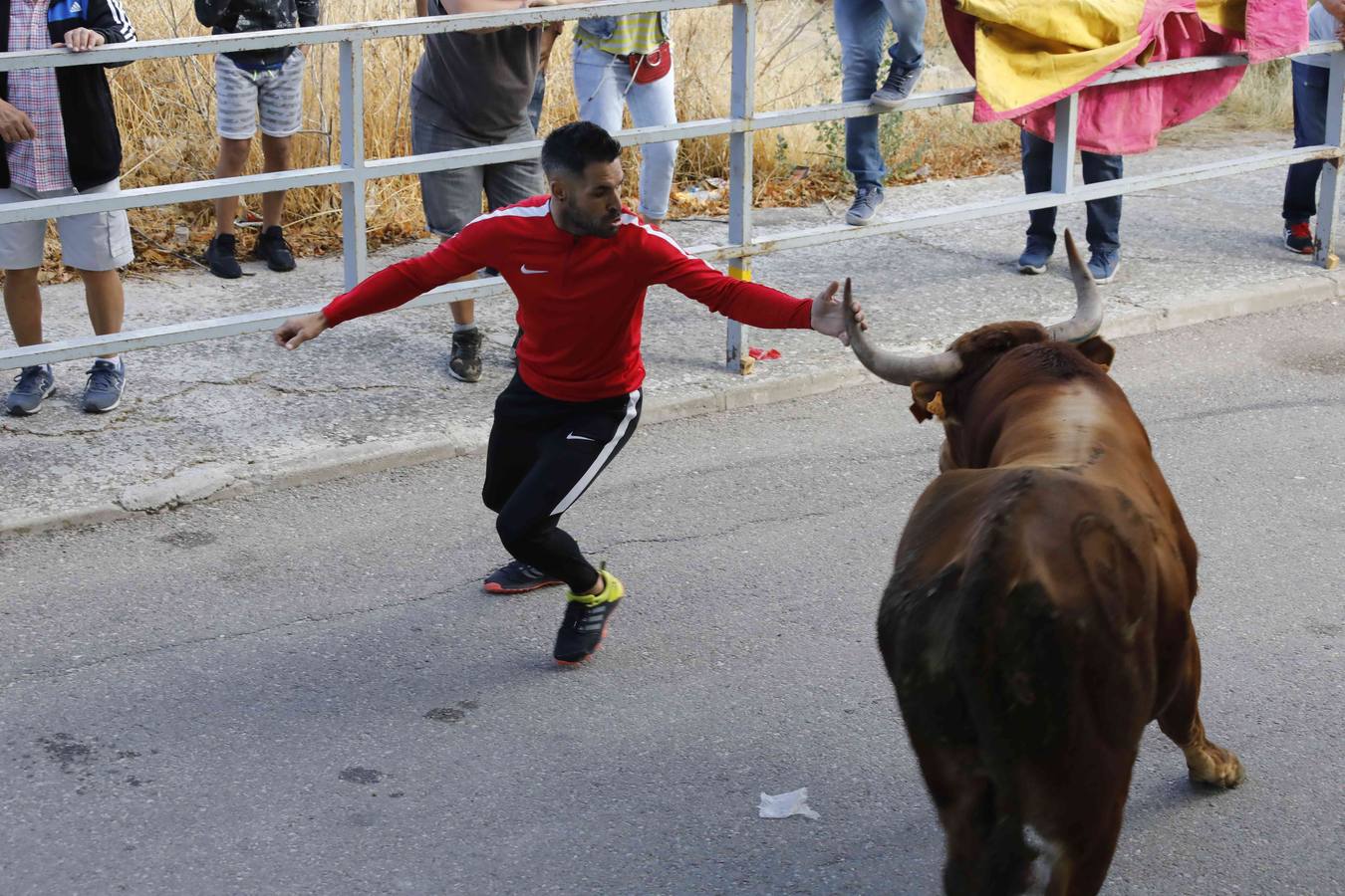 La capea fue entretenida gracias al ganado y a un grupo de cortadores, que no cesaron en su intento hasta lograr unos buenos cortes