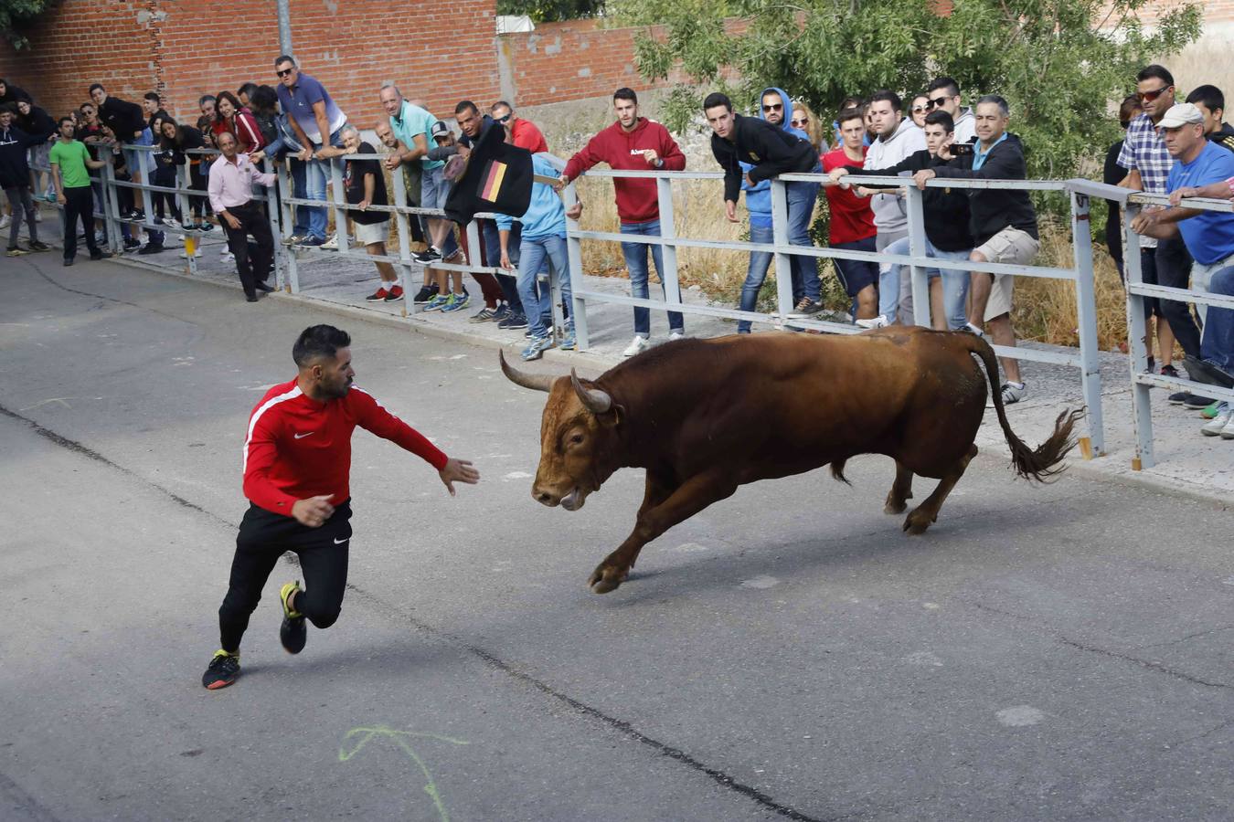 La capea fue entretenida gracias al ganado y a un grupo de cortadores, que no cesaron en su intento hasta lograr unos buenos cortes