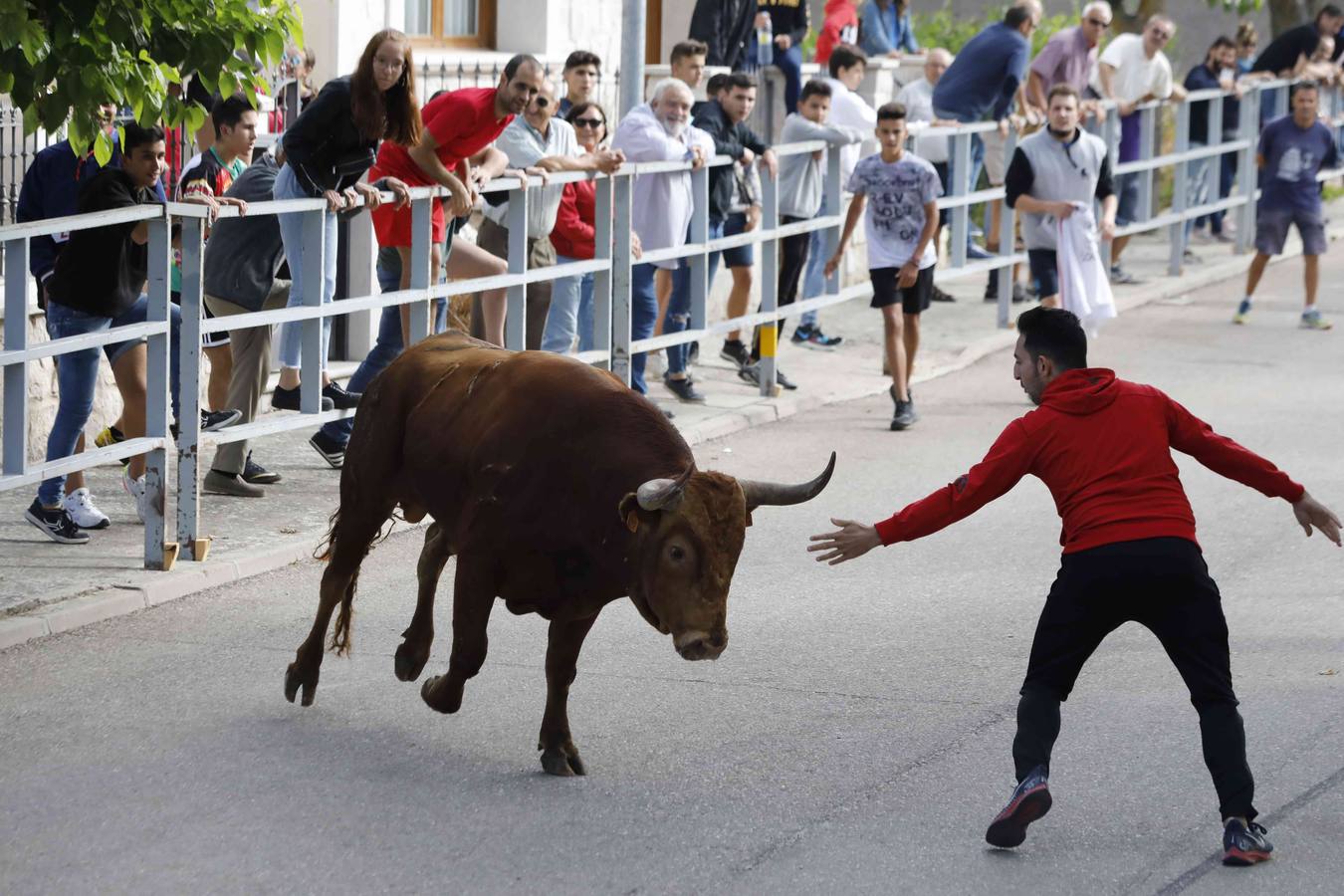 La capea fue entretenida gracias al ganado y a un grupo de cortadores, que no cesaron en su intento hasta lograr unos buenos cortes