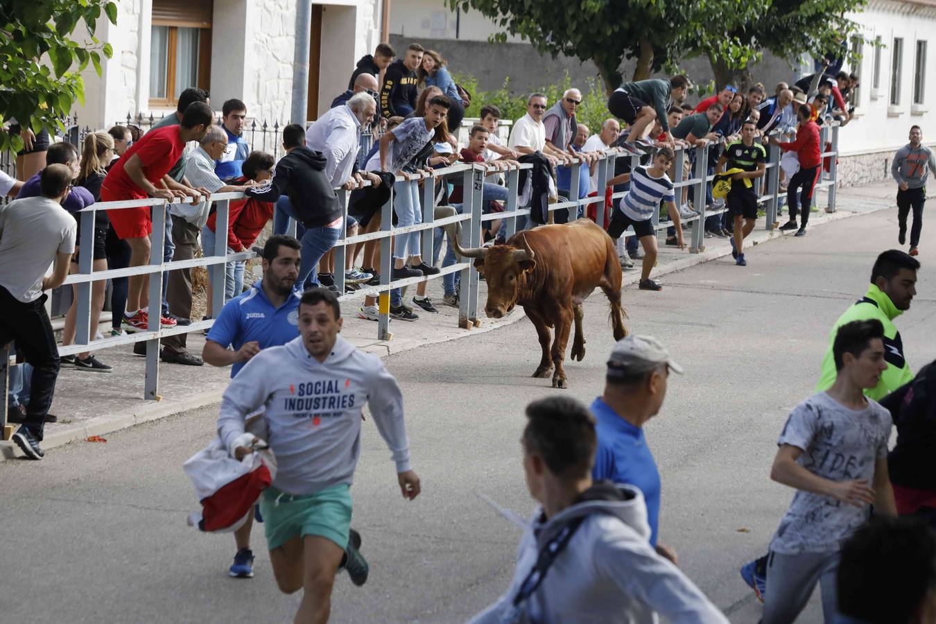 La capea fue entretenida gracias al ganado y a un grupo de cortadores, que no cesaron en su intento hasta lograr unos buenos cortes