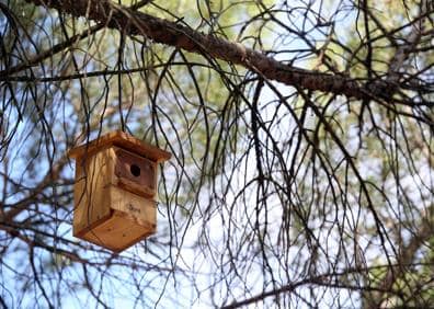 Imagen secundaria 1 - Arriba, voluntarios trabajan en la construcción junto a unos viñedos. Izquierda, cajanido para diferentes tipos de aves. Derecha, cuatro crías de cernícalo en una de las cajas nido. 