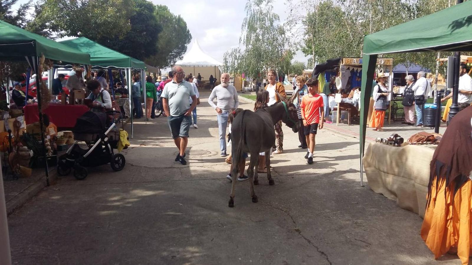 Fotos: Mercado Campesino de Miranda de Azán