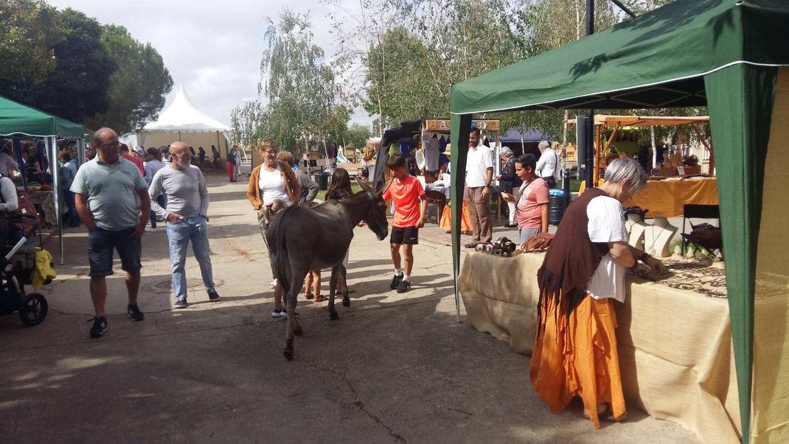 Fotos: Mercado Campesino de Miranda de Azán