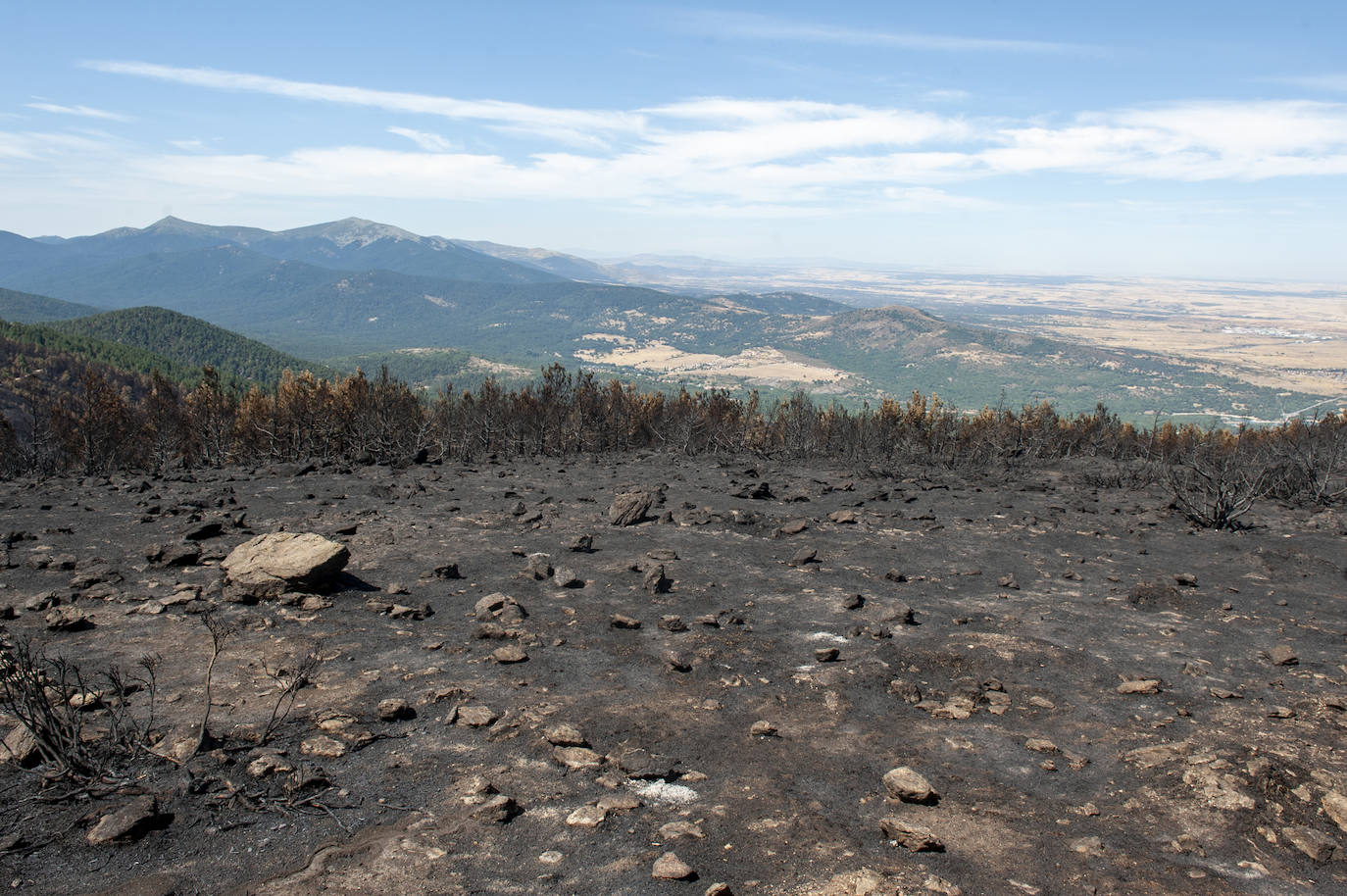 Recorrido por la devastación natural de una parte de la sierra de Guadarrama que ha quedado arrasada por las llamas del incendio que se declaró en La Granja hace nueve días