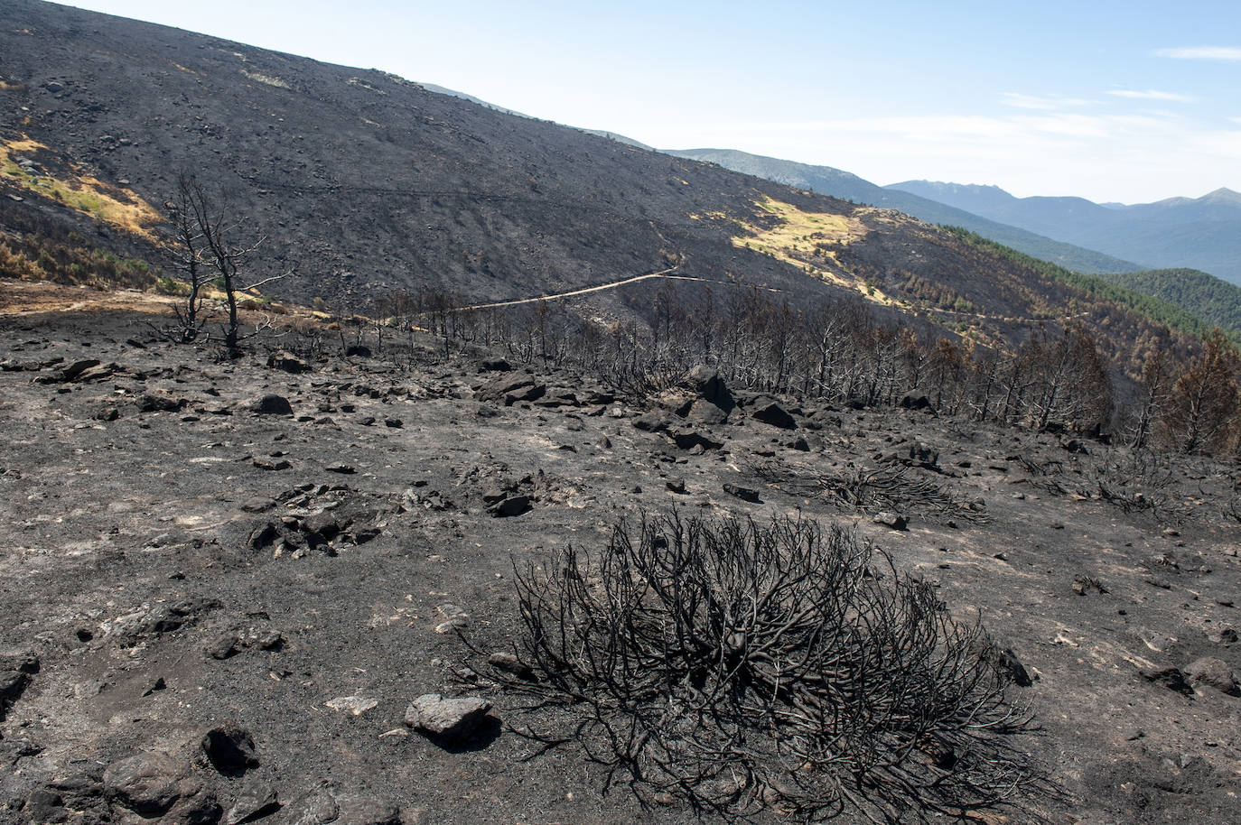 Recorrido por la devastación natural de una parte de la sierra de Guadarrama que ha quedado arrasada por las llamas del incendio que se declaró en La Granja hace nueve días