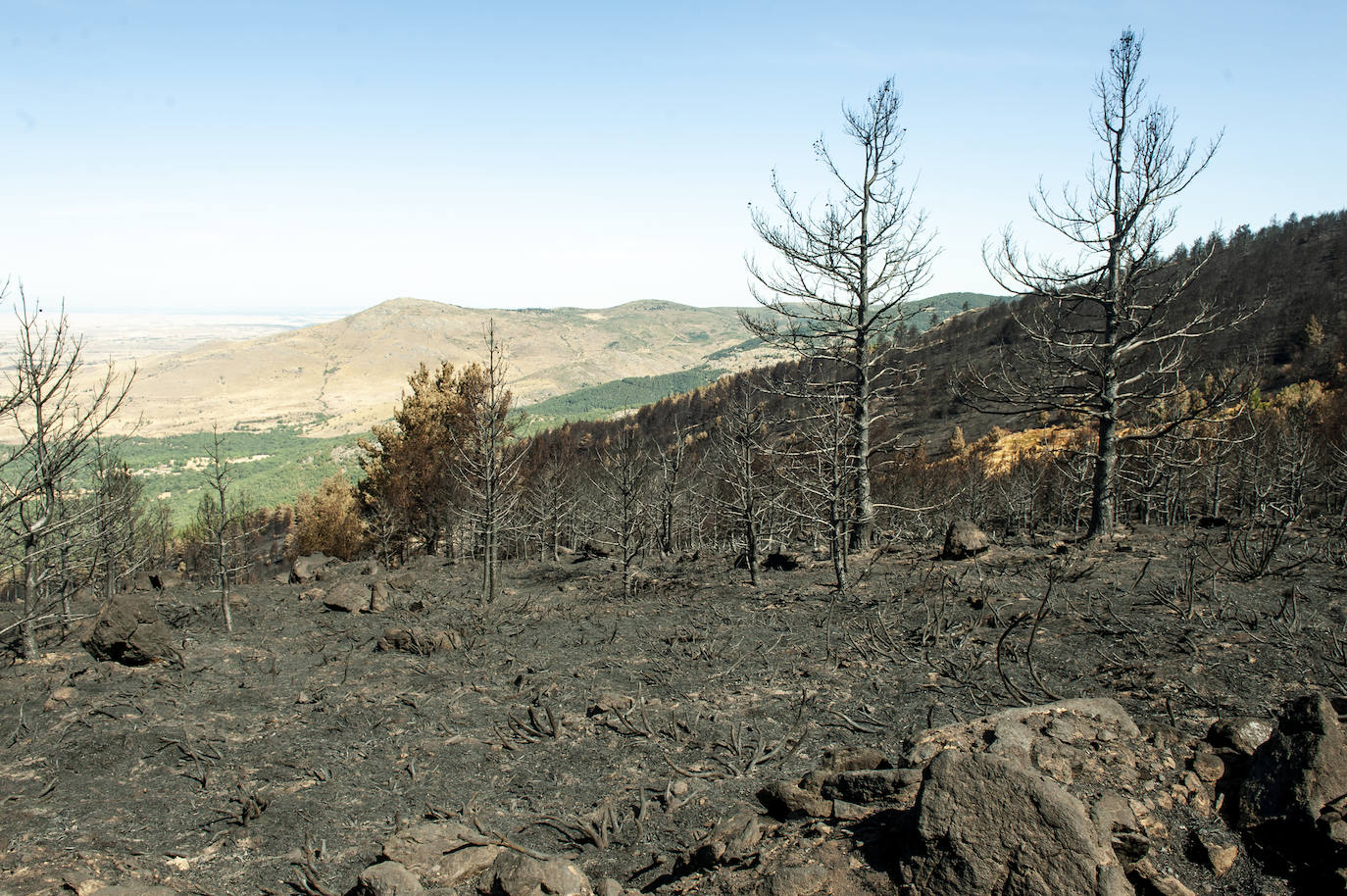 Los datos provisionales señalan que el fuego declarado hace nueve días en La Granja ha destruido unas 370 hectáreas,el 80% en terrenos particulares. Una buena parte de la superficie arrasada está dentro del Parque Nacional Sierra de Guadarrama 