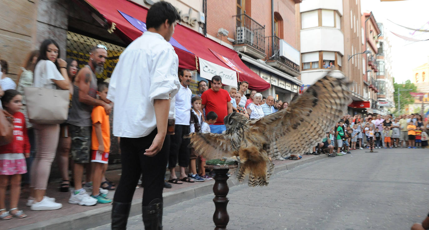 Fotos: Feria Renacentista de Medina del Campo