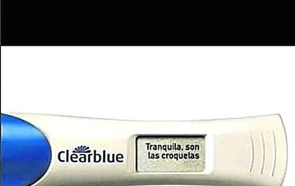 Predictor con el que Paula Echevarría desmiente los rumores de embarazo.