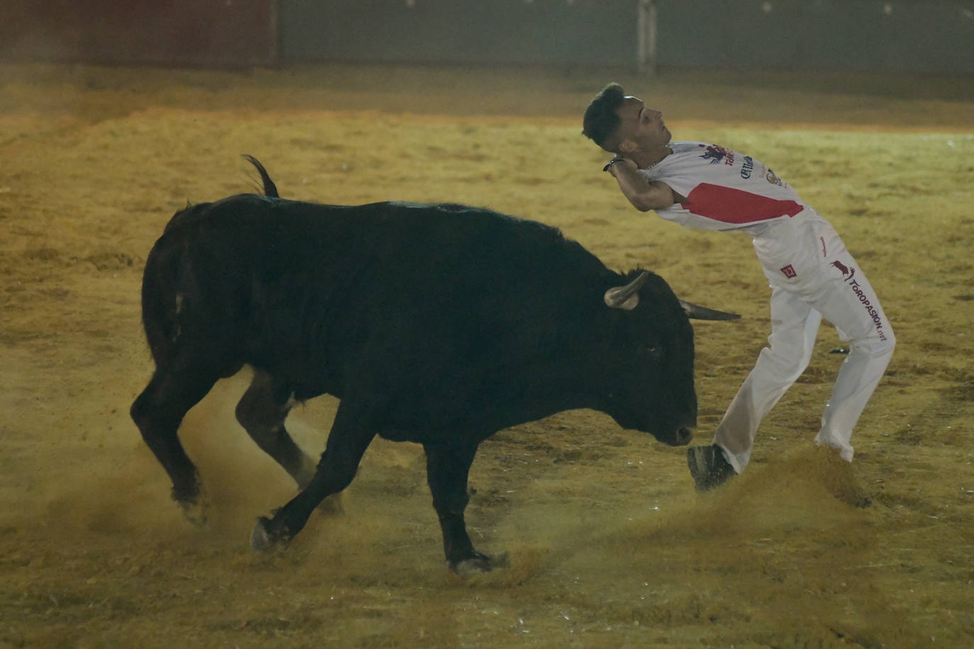 Fotos: Concurso de Cortes de Rueda