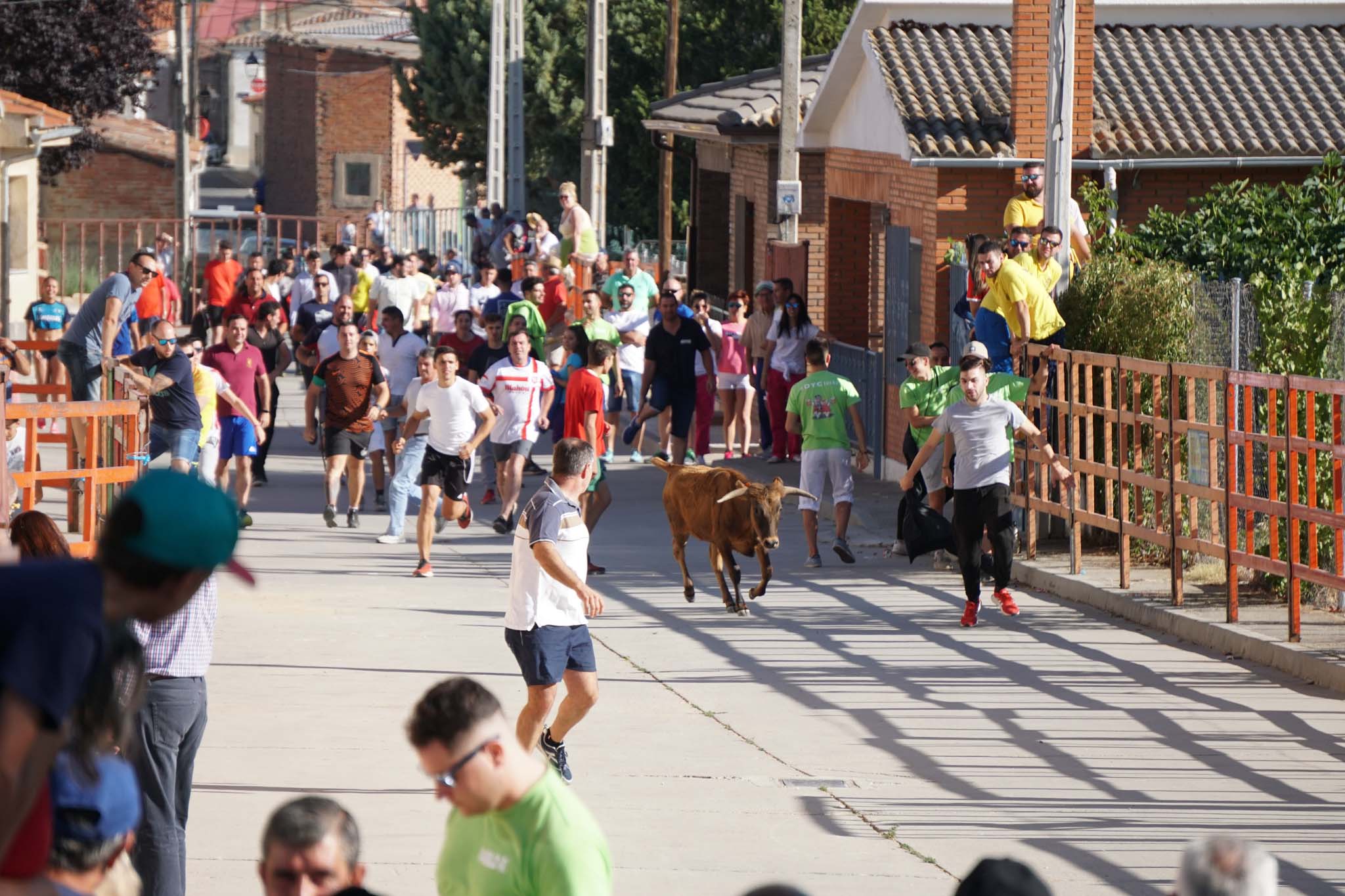Fotos: Encierro urbano de Cantalpino