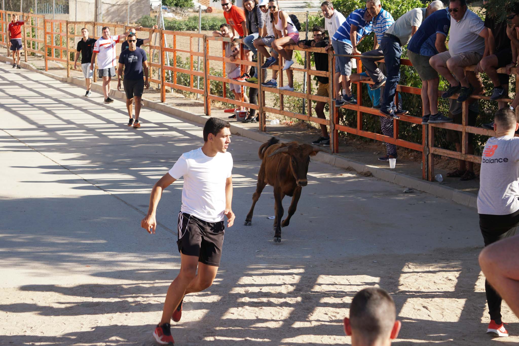 Fotos: Encierro urbano de Cantalpino