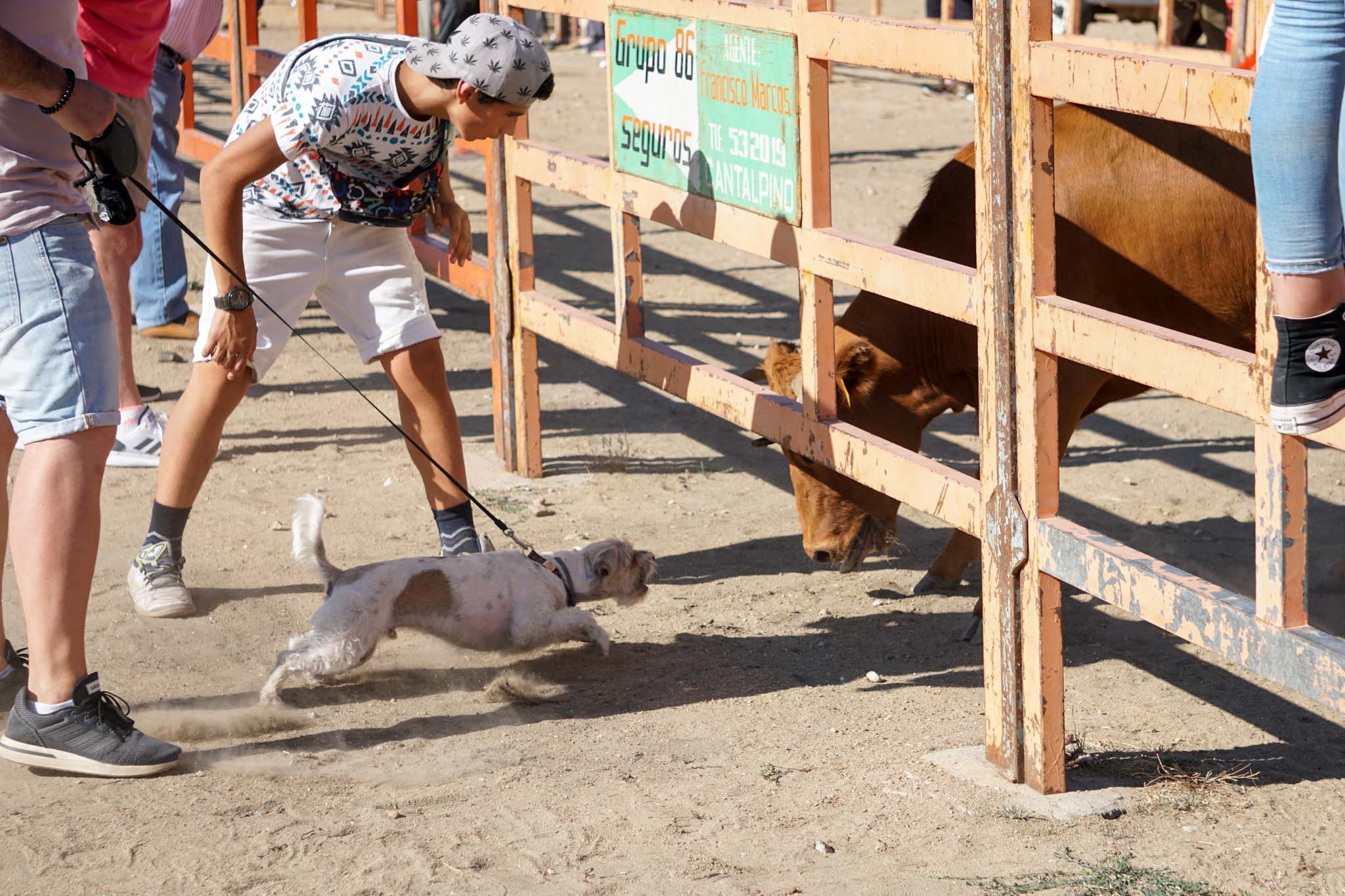 Fotos: Encierro urbano de Cantalpino