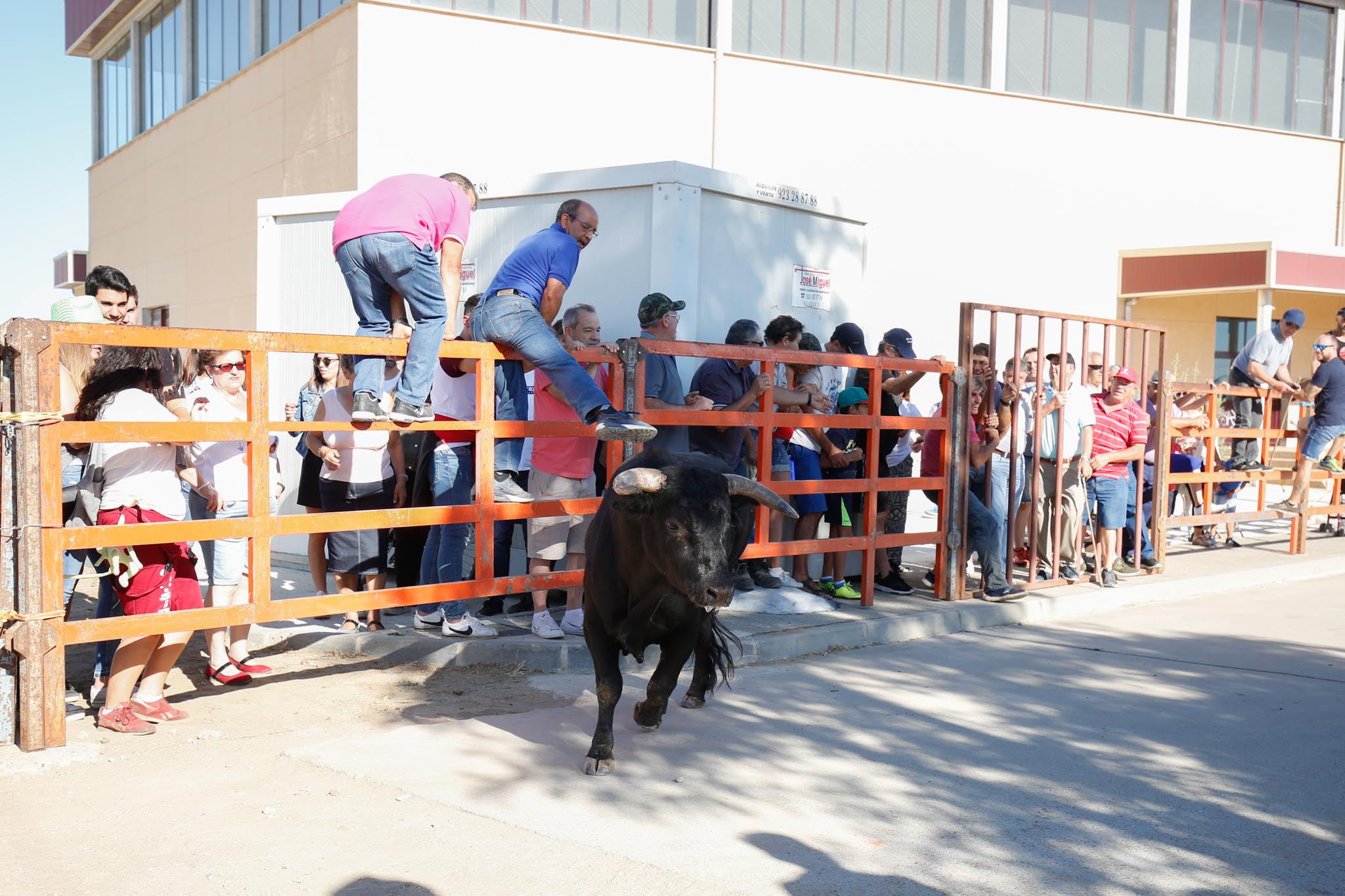 Fotos: Encierro urbano de Cantalpino
