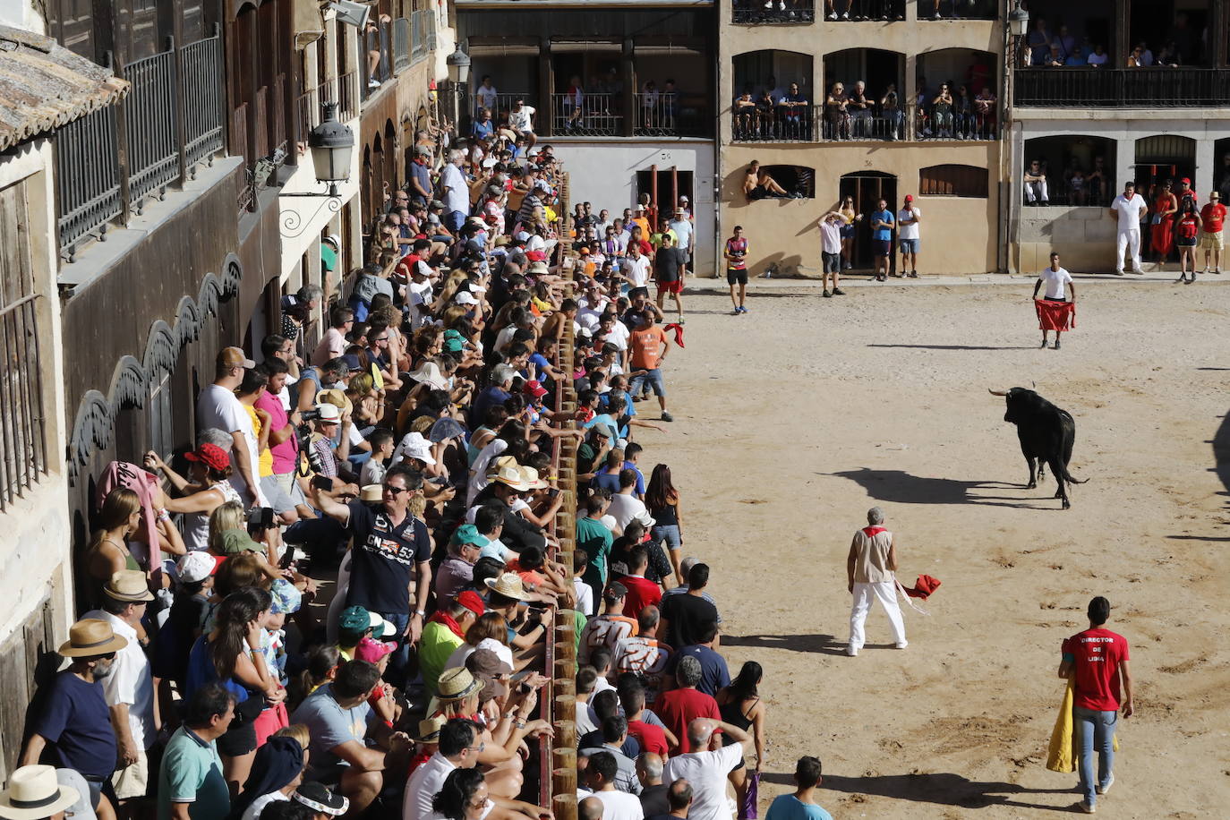 Fotos: Segundo encierro y capea matinal en Peñafiel