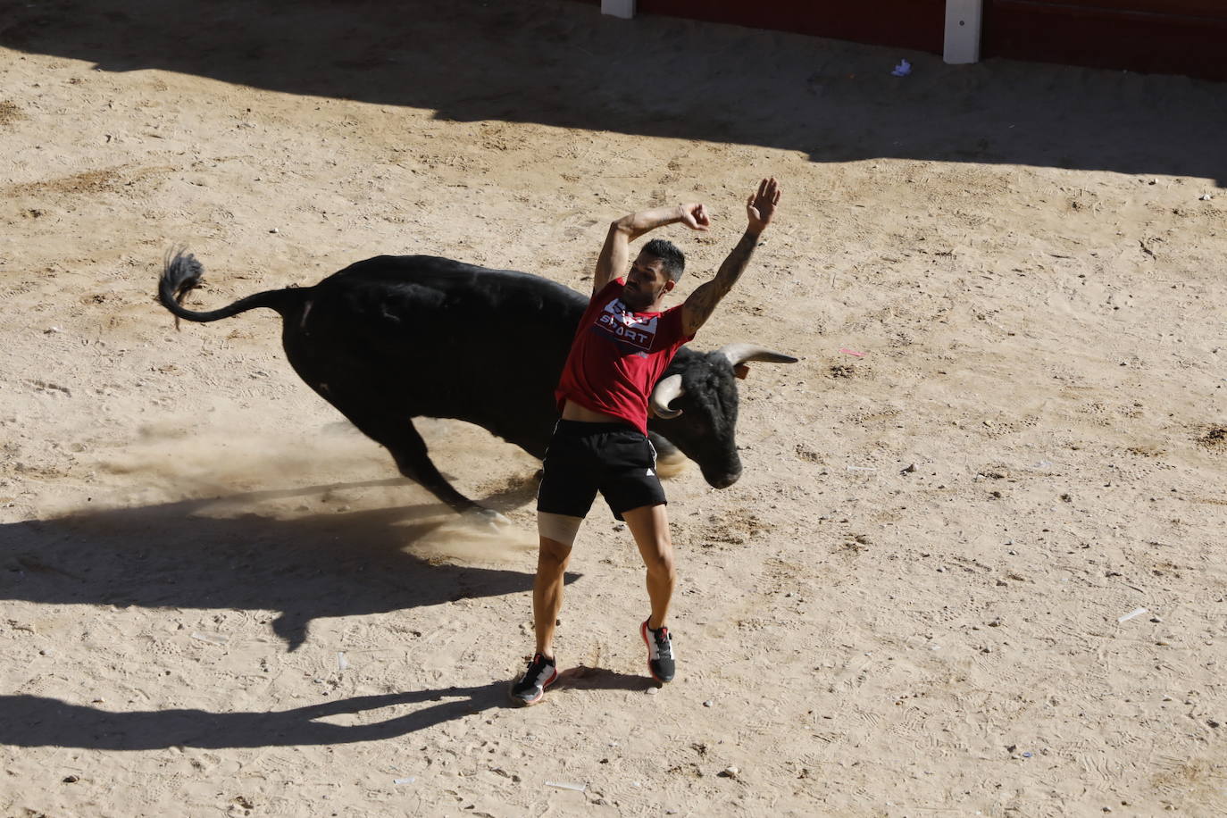 Fotos: Segundo encierro y capea matinal en Peñafiel