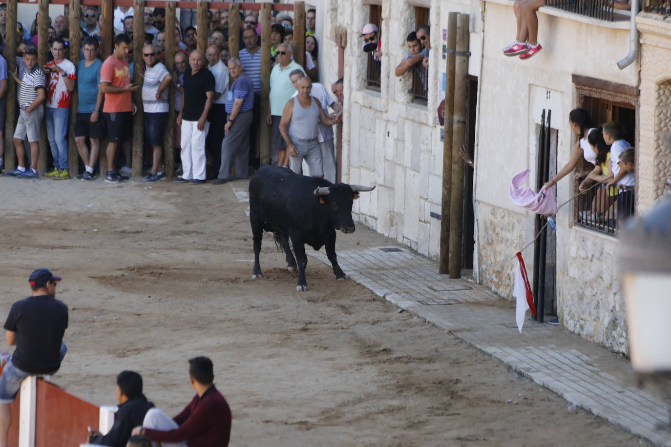 Fotos: Segundo encierro y capea matinal en Peñafiel