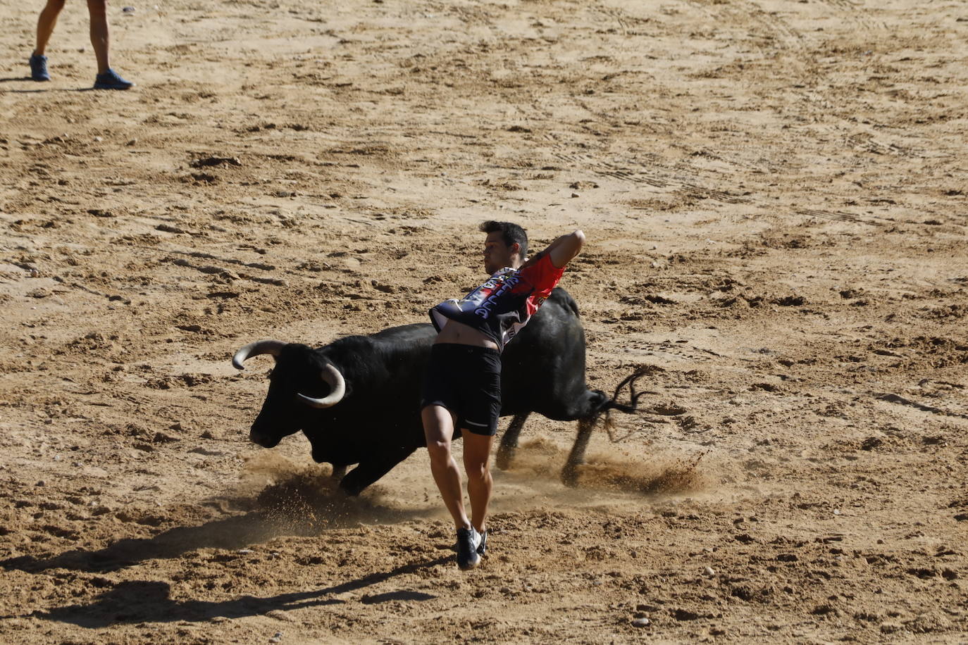 Fotos: Segundo encierro y capea matinal en Peñafiel