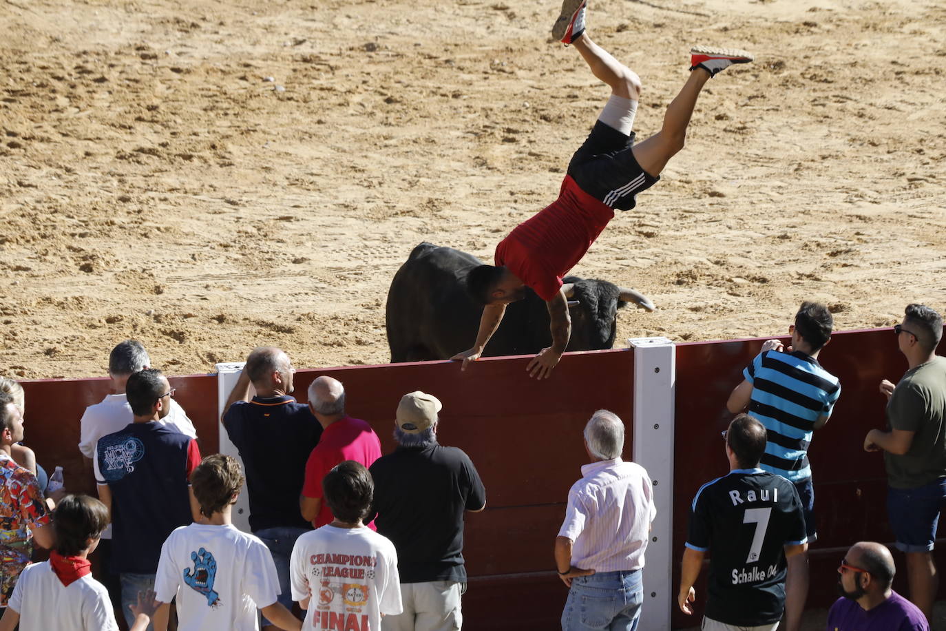 Fotos: Segundo encierro y capea matinal en Peñafiel