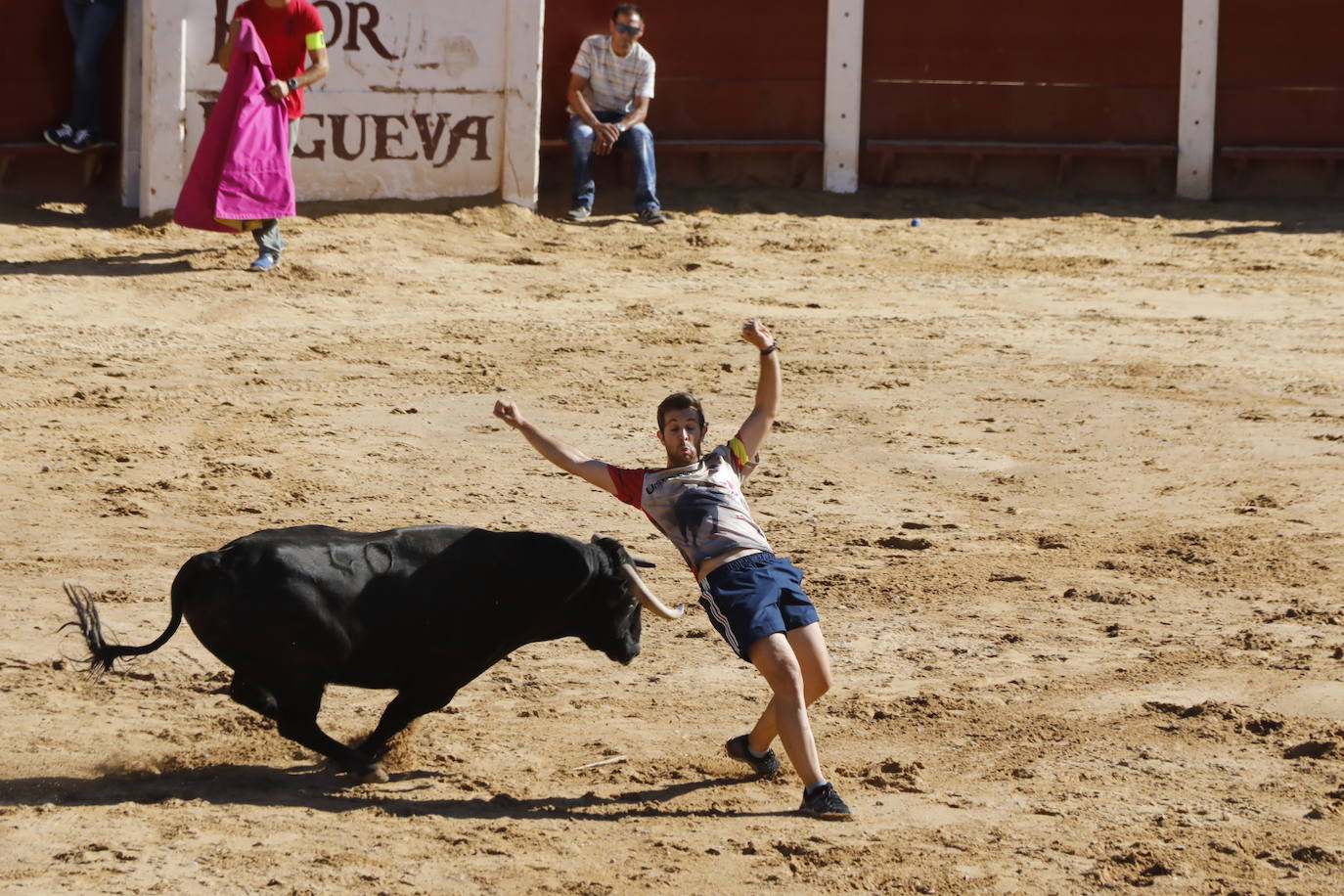 Fotos: Segundo encierro y capea matinal en Peñafiel