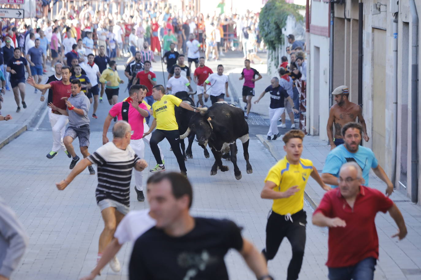 Fotos: Segundo encierro y capea matinal en Peñafiel