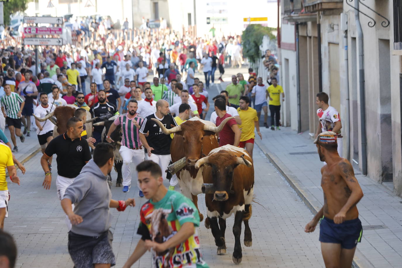 Fotos: Segundo encierro y capea matinal en Peñafiel