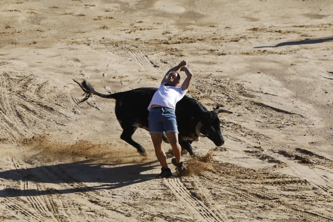 Fotos: Segundo encierro y capea matinal en Peñafiel