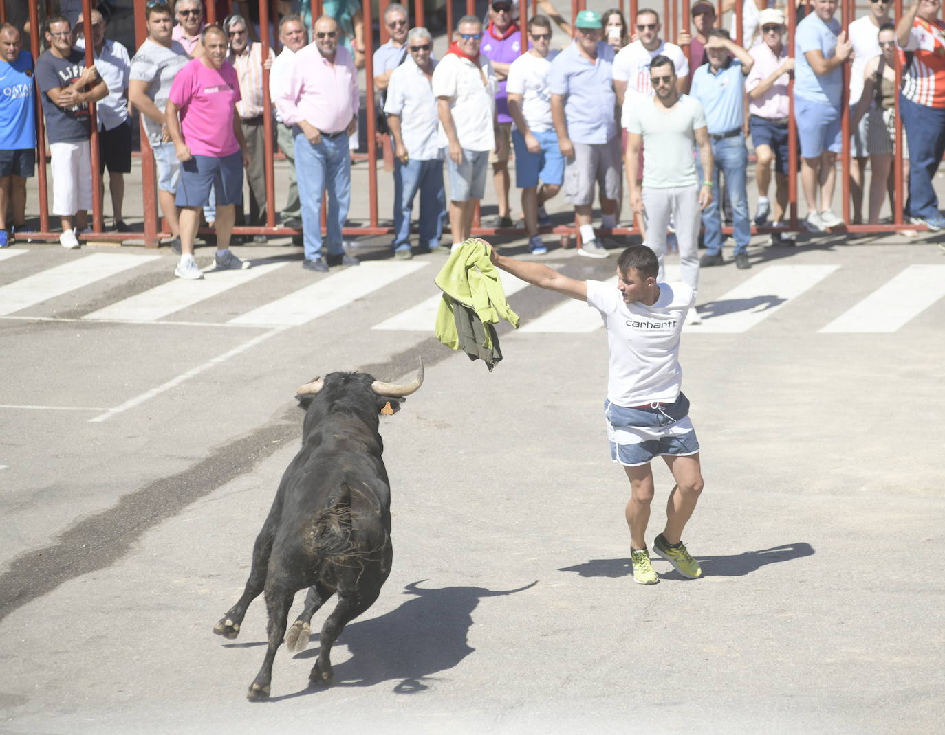 Fotos: Cuarto encierro de las fiestas de Rueda 2019