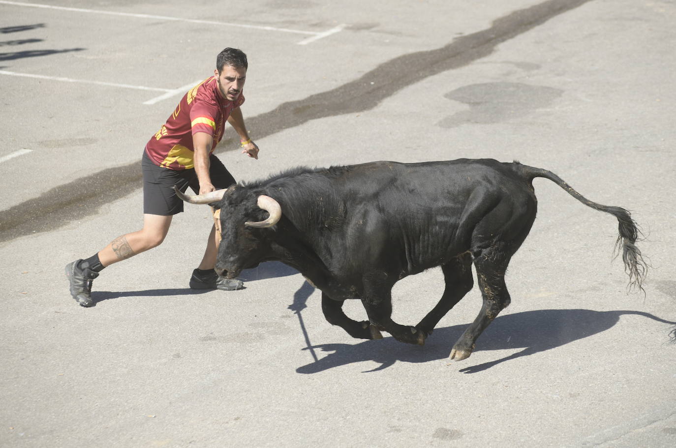 Fotos: Cuarto encierro de las fiestas de Rueda 2019