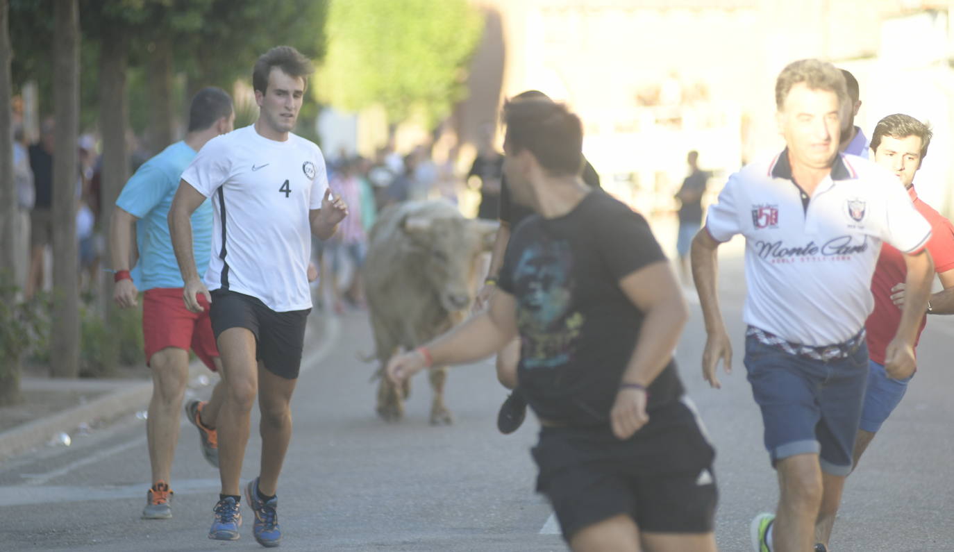 Fotos: Encierro dle viernes por la tarde en Pollos