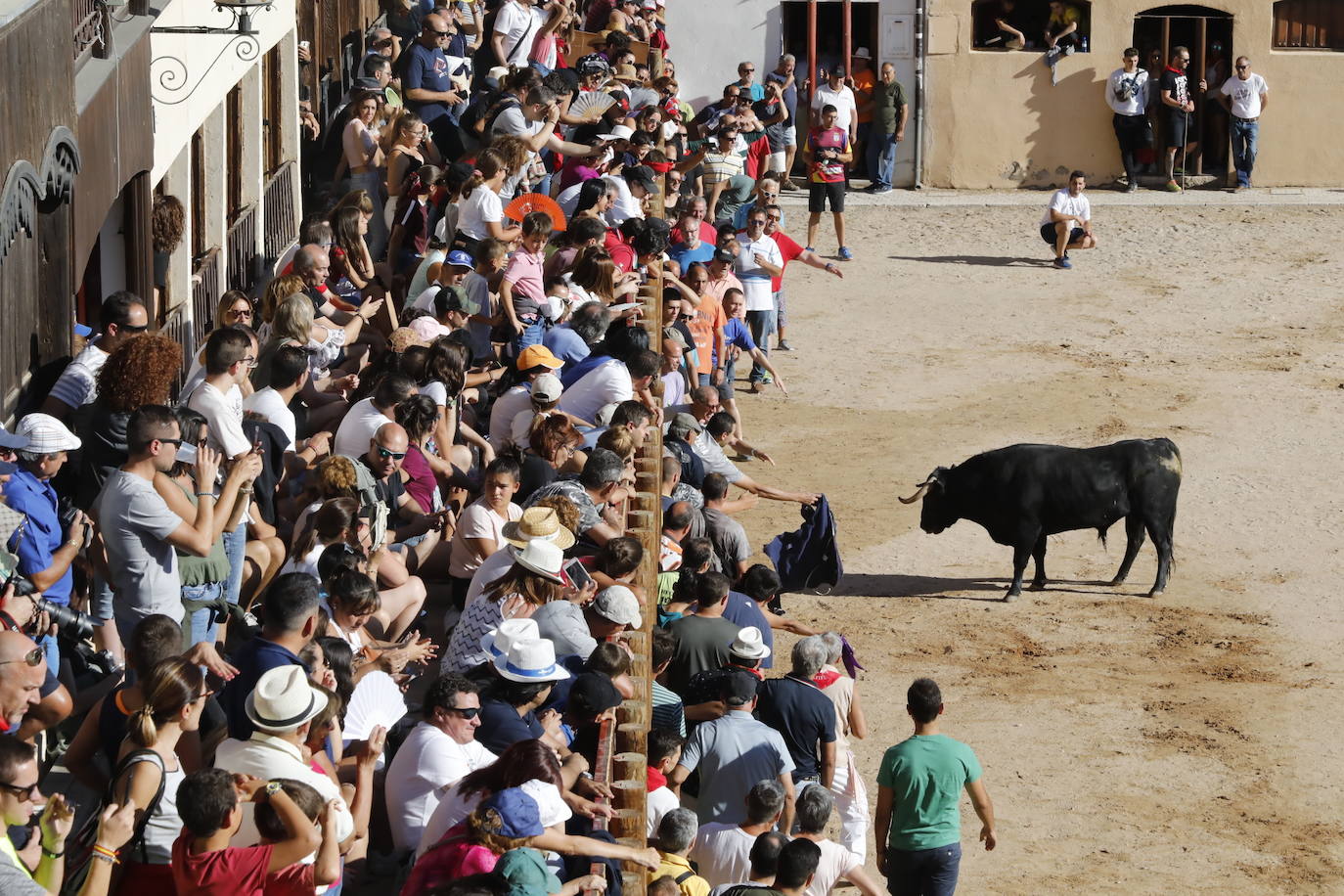 Fotos: Encierro y capea matutina del sábado en Peñafiel