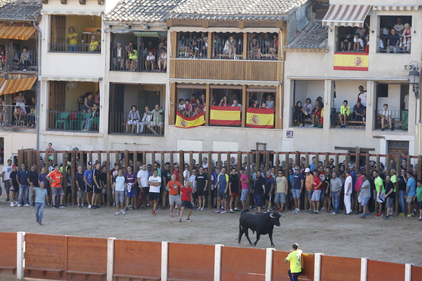 Fotos: Encierro y capea matutina del sábado en Peñafiel