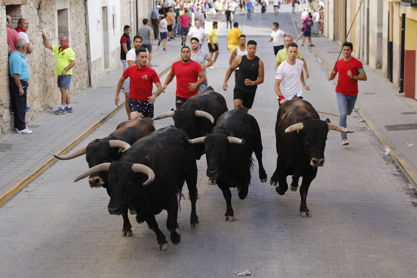 Fotos: Peñafiel despide cinco intensos días de fiestas patronales (2/2)