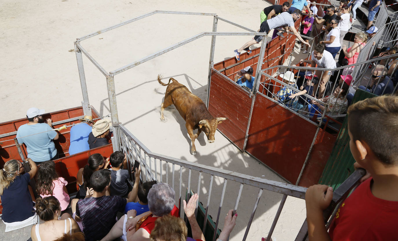 Fotos: Encierro en Aldemayor de San Martín