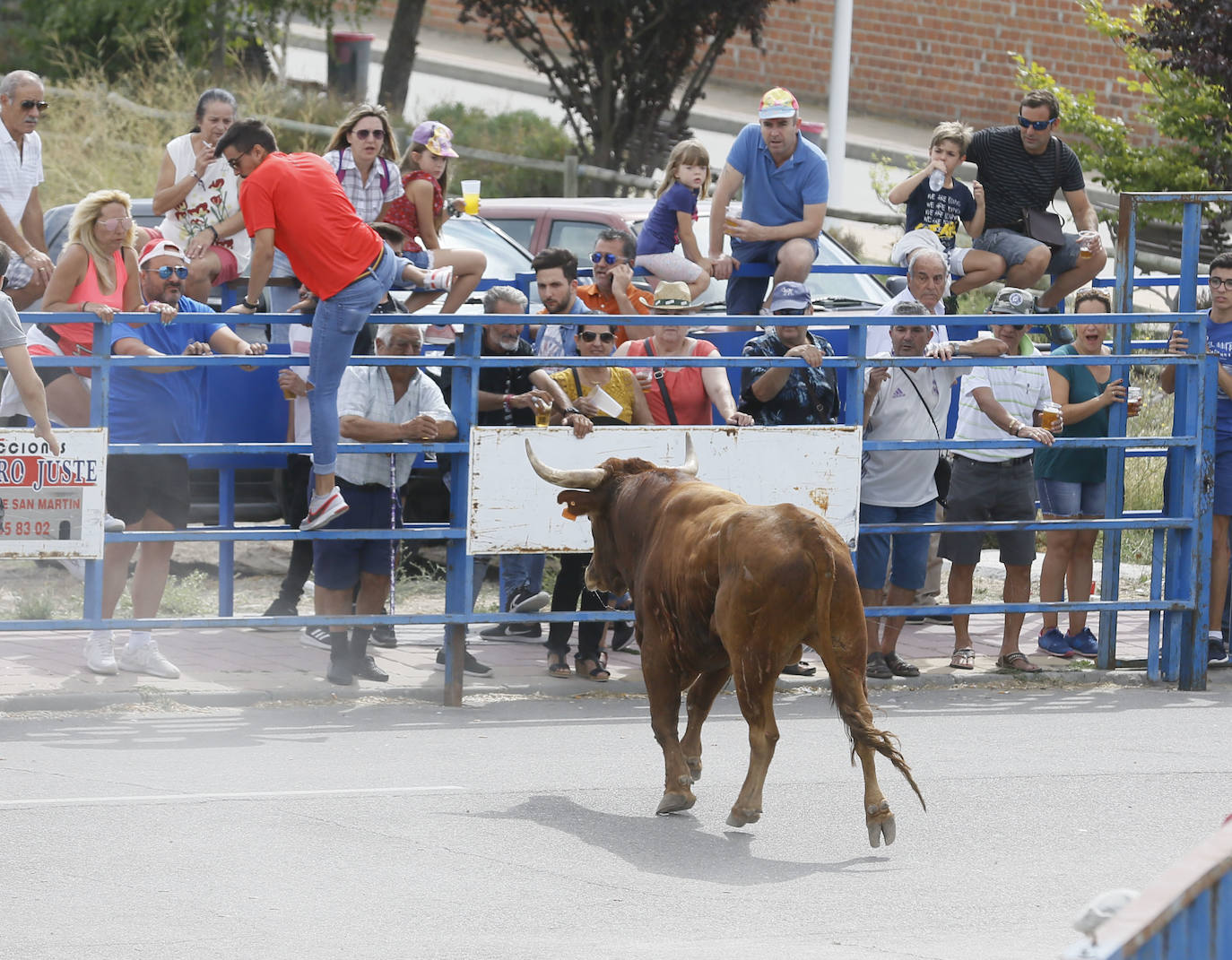 Fotos: Encierro en Aldemayor de San Martín