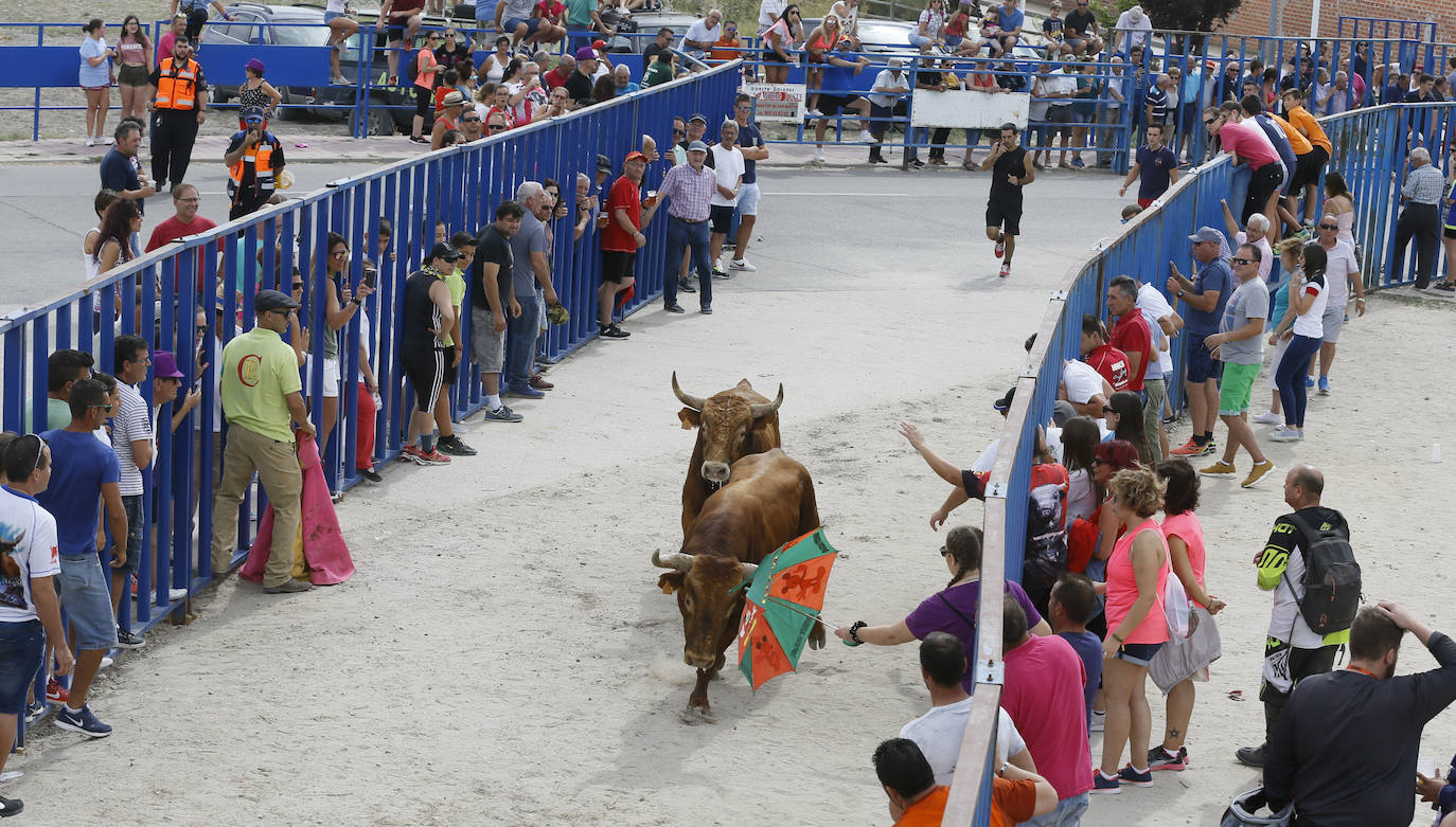 Fotos: Encierro en Aldemayor de San Martín