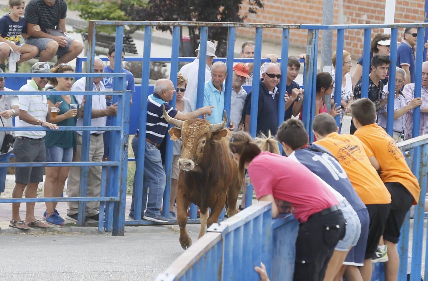 Fotos: Encierro en Aldemayor de San Martín