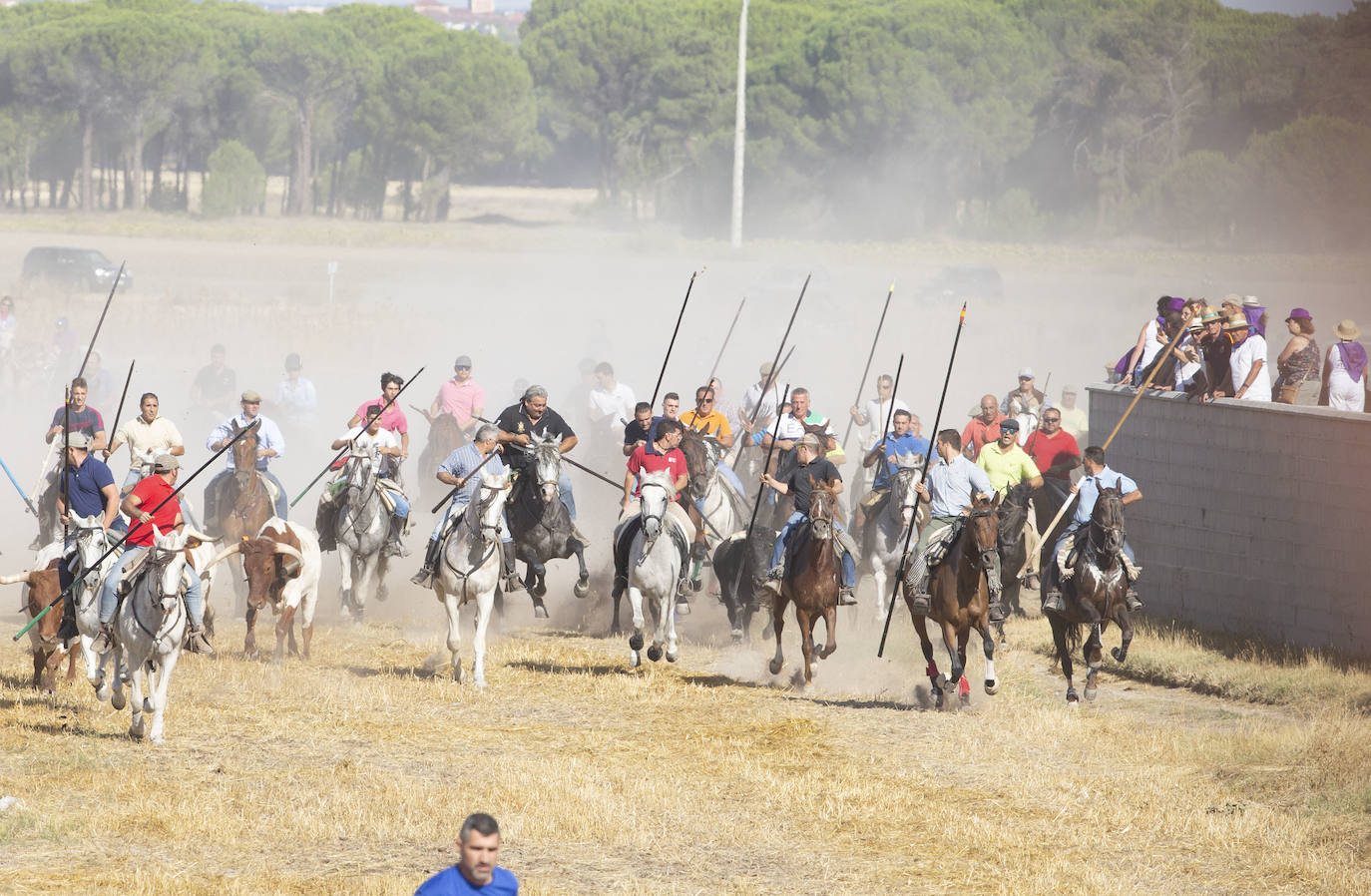 Fotos: Encierro en Aldemayor de San Martín