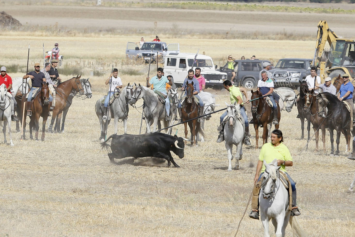 Fotos: Encierro en Aldemayor de San Martín