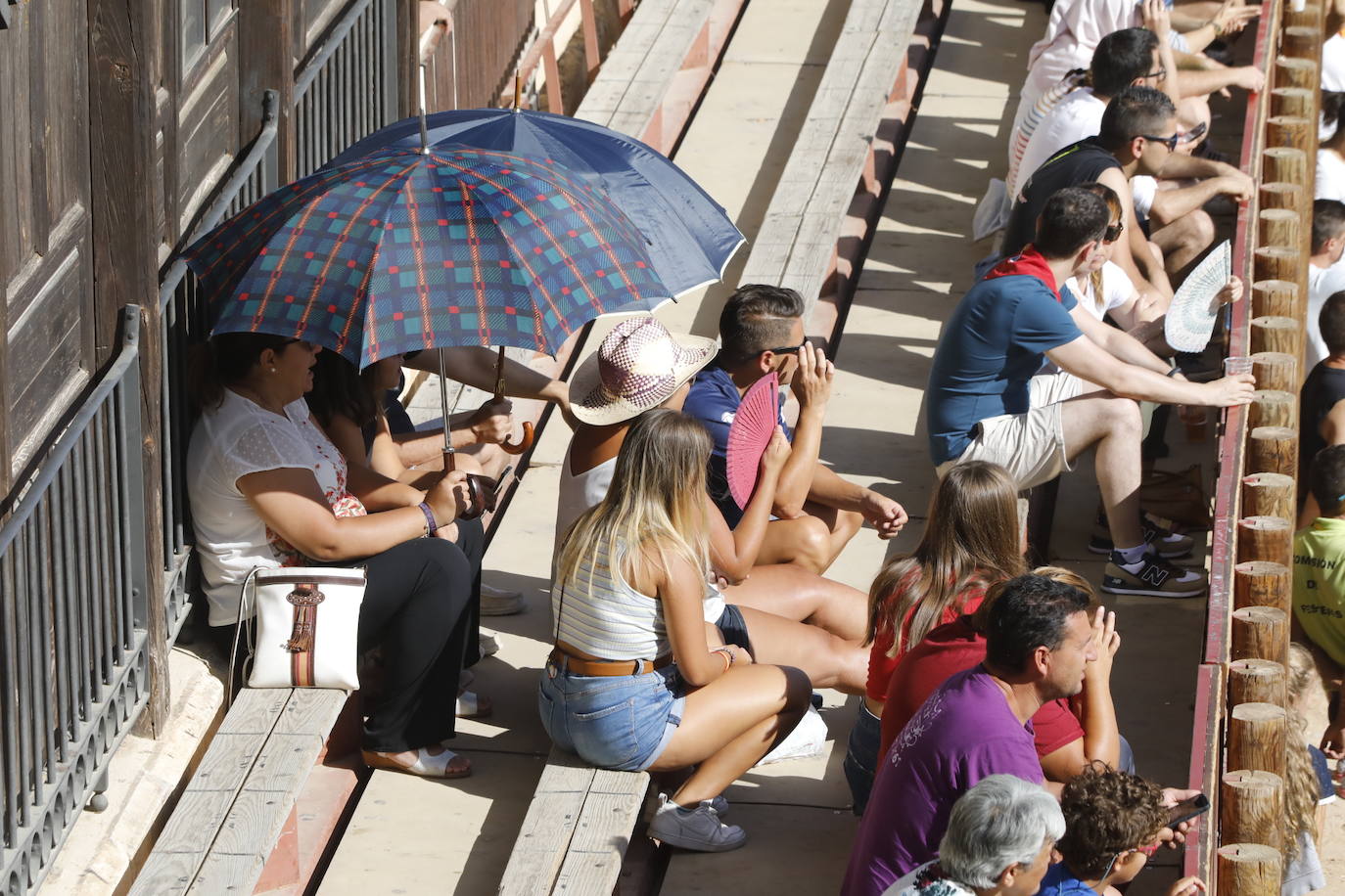 Fotos: Encierro y capea del domingo en Peñafiel