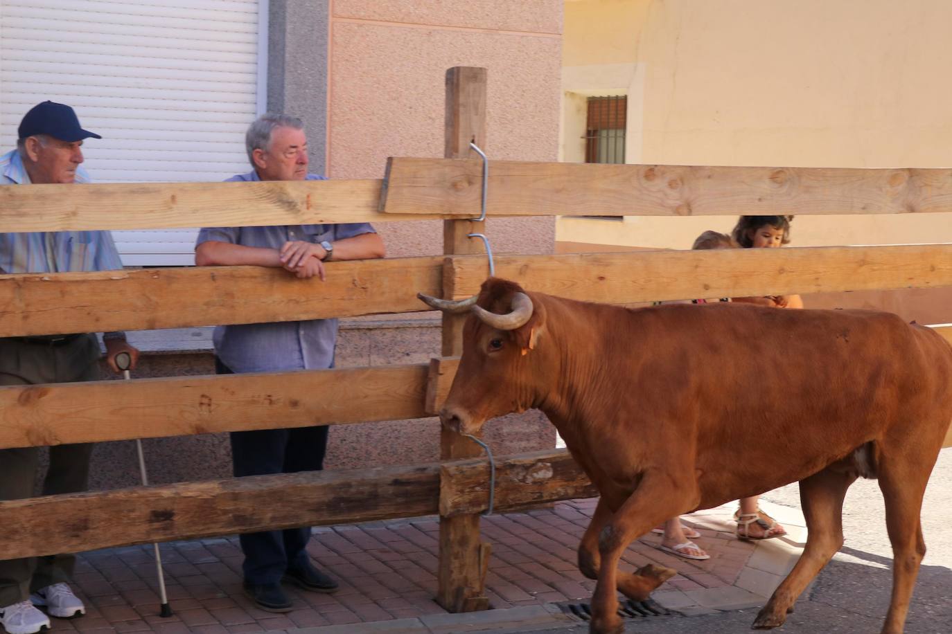 Fotos: Encierro en Torquemada