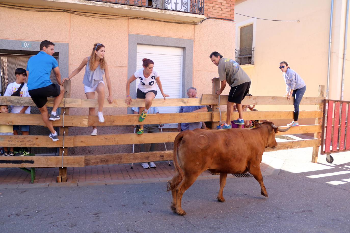 Fotos: Encierro en Torquemada