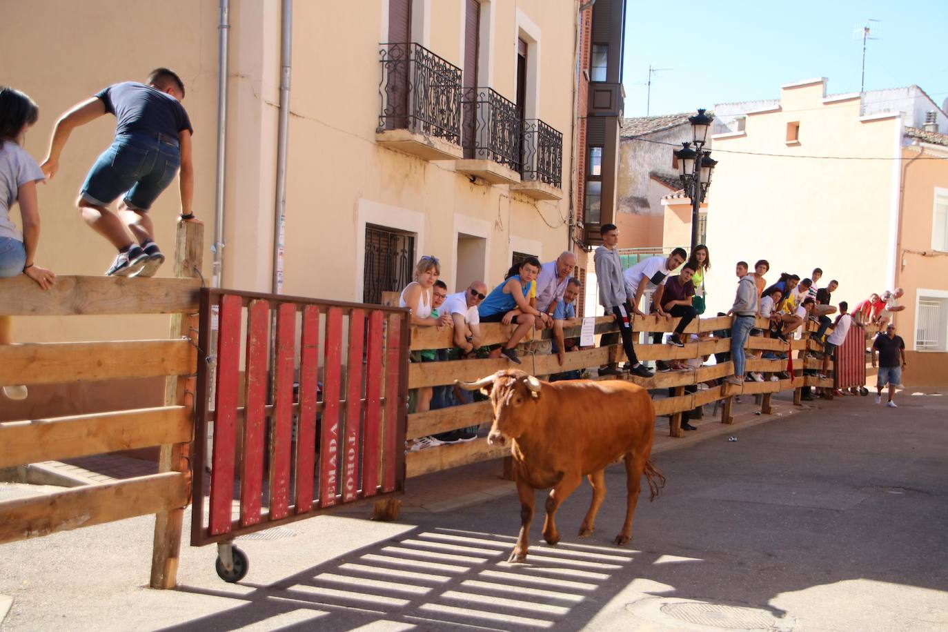 Fotos: Encierro en Torquemada