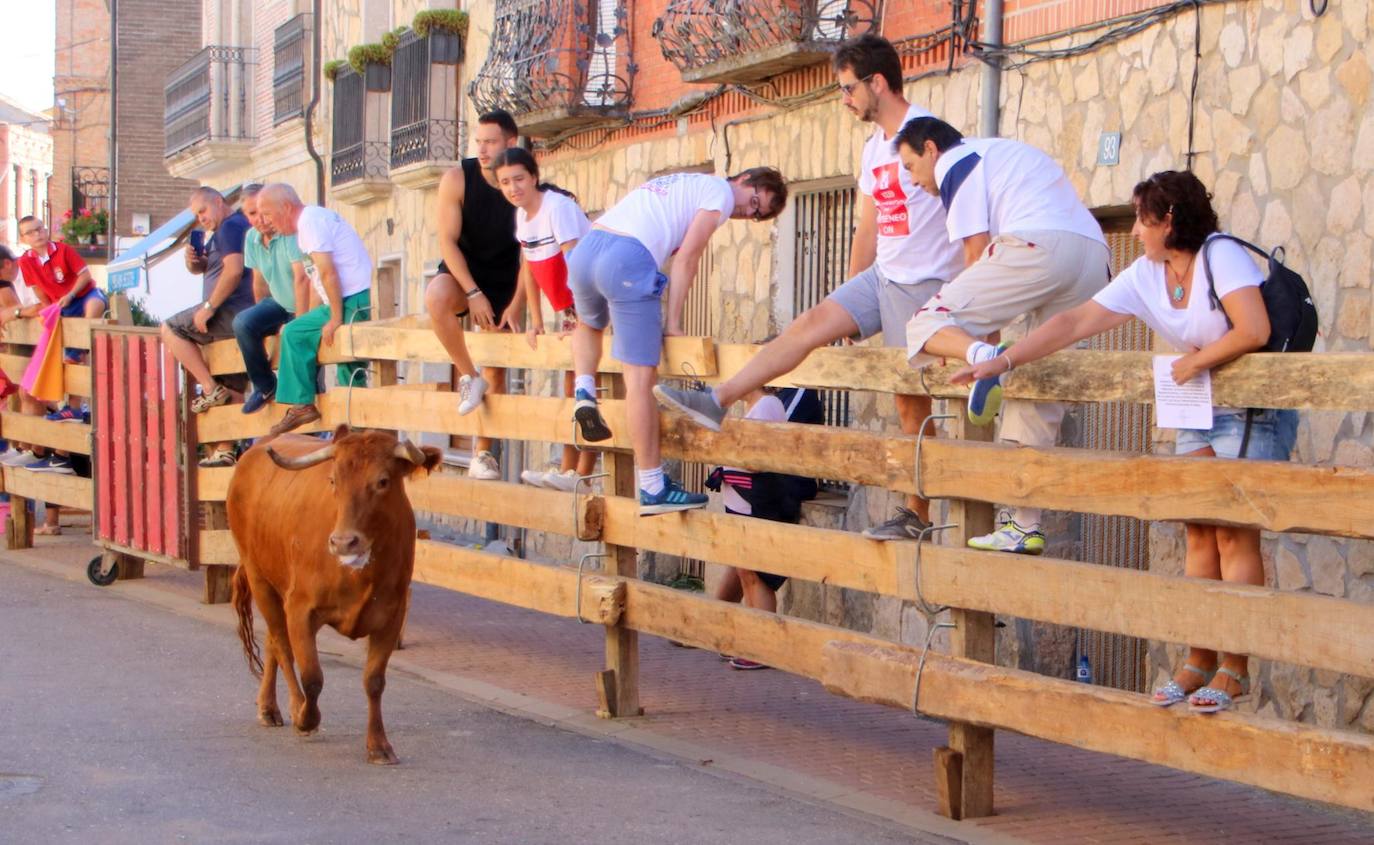 Fotos: Encierro en Torquemada
