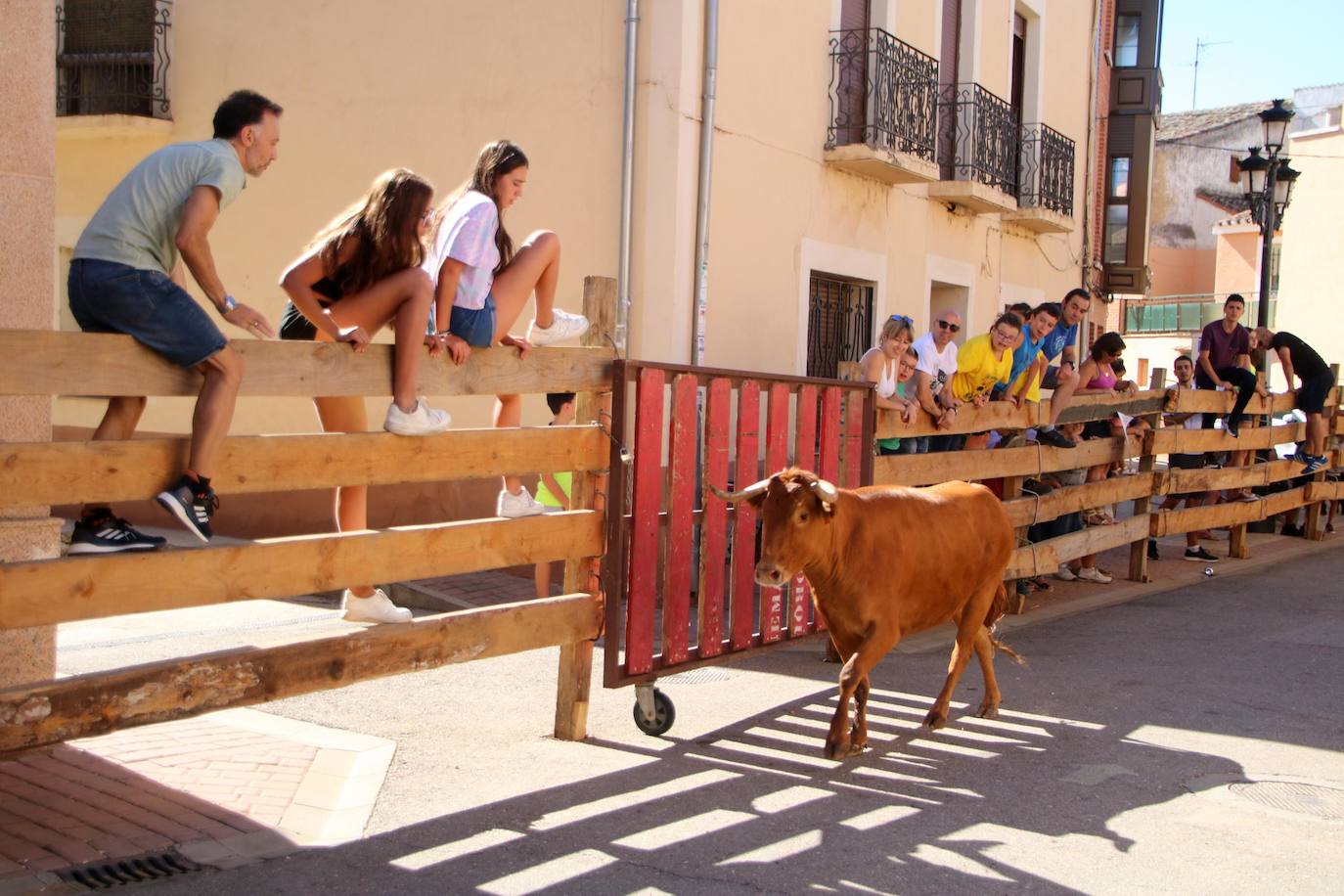Fotos: Encierro en Torquemada